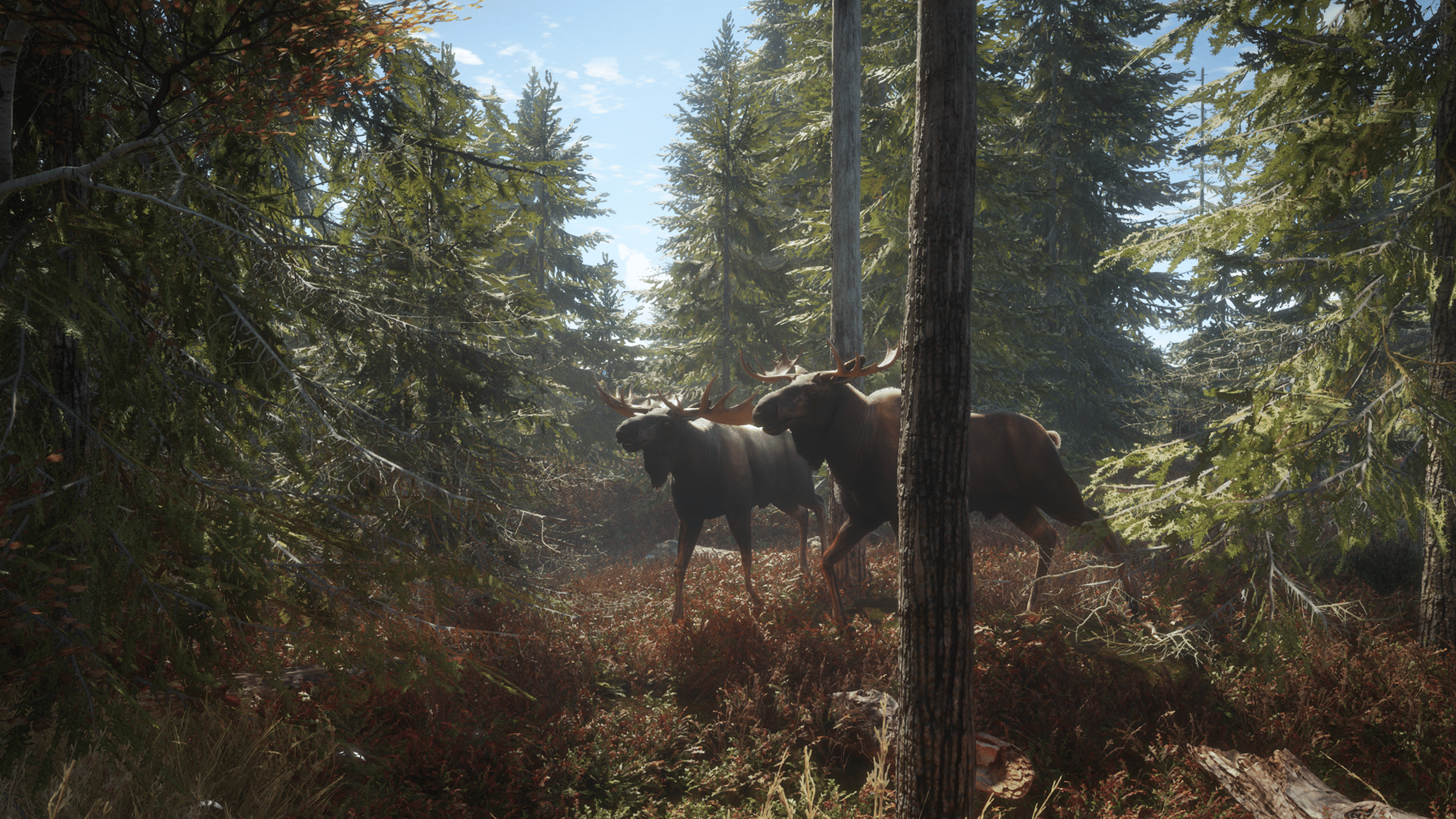 TheHunter: Call of the Wild screenshot