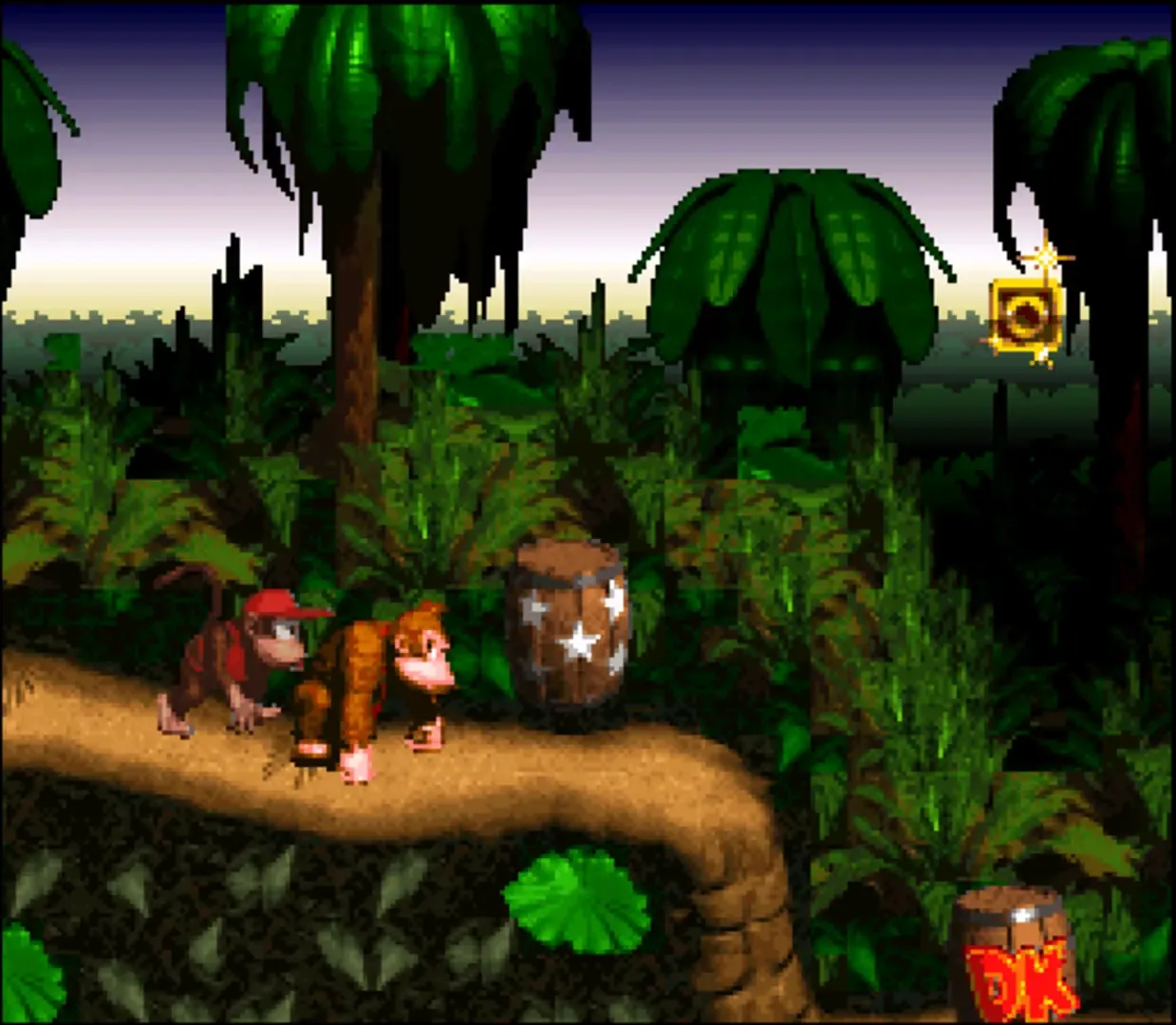 Captura de pantalla - Donkey Kong Country