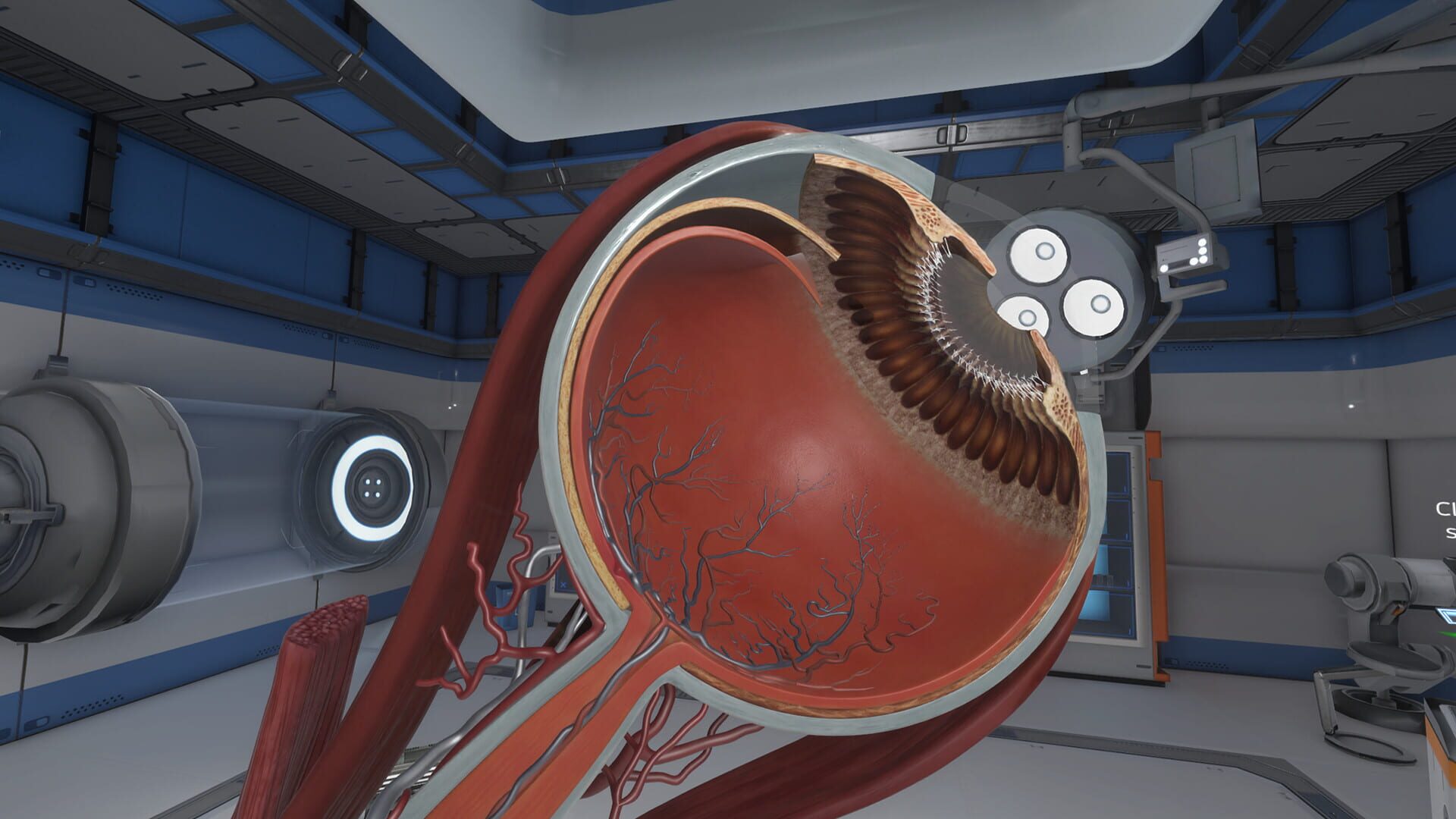 The Physiology of the Eye - Screenshot