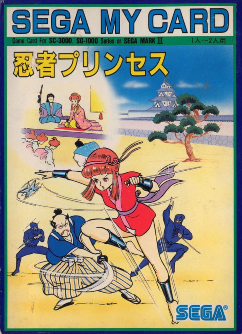 Ninja Princess (1985)