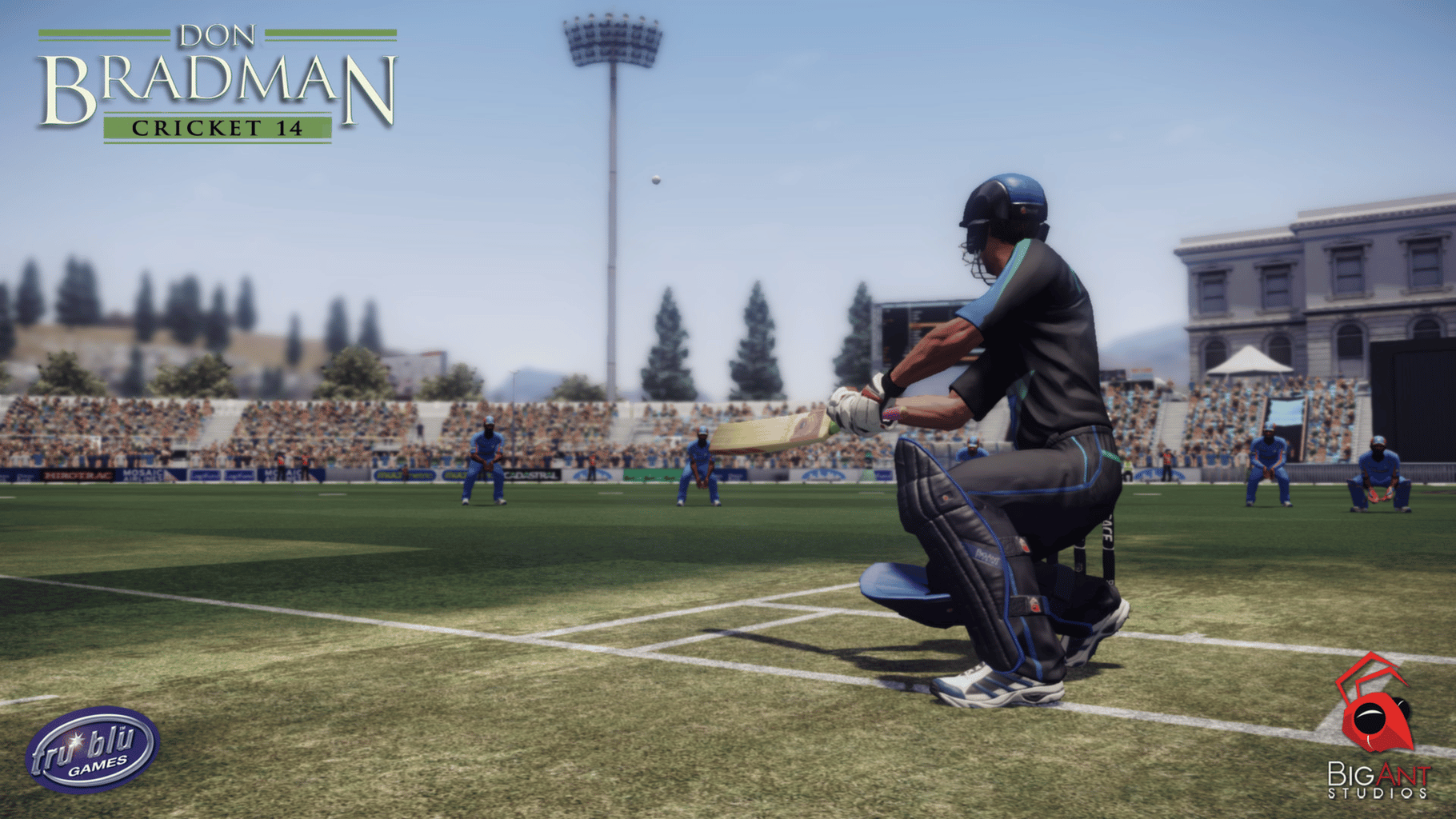 Don Bradman Cricket 14 screenshot