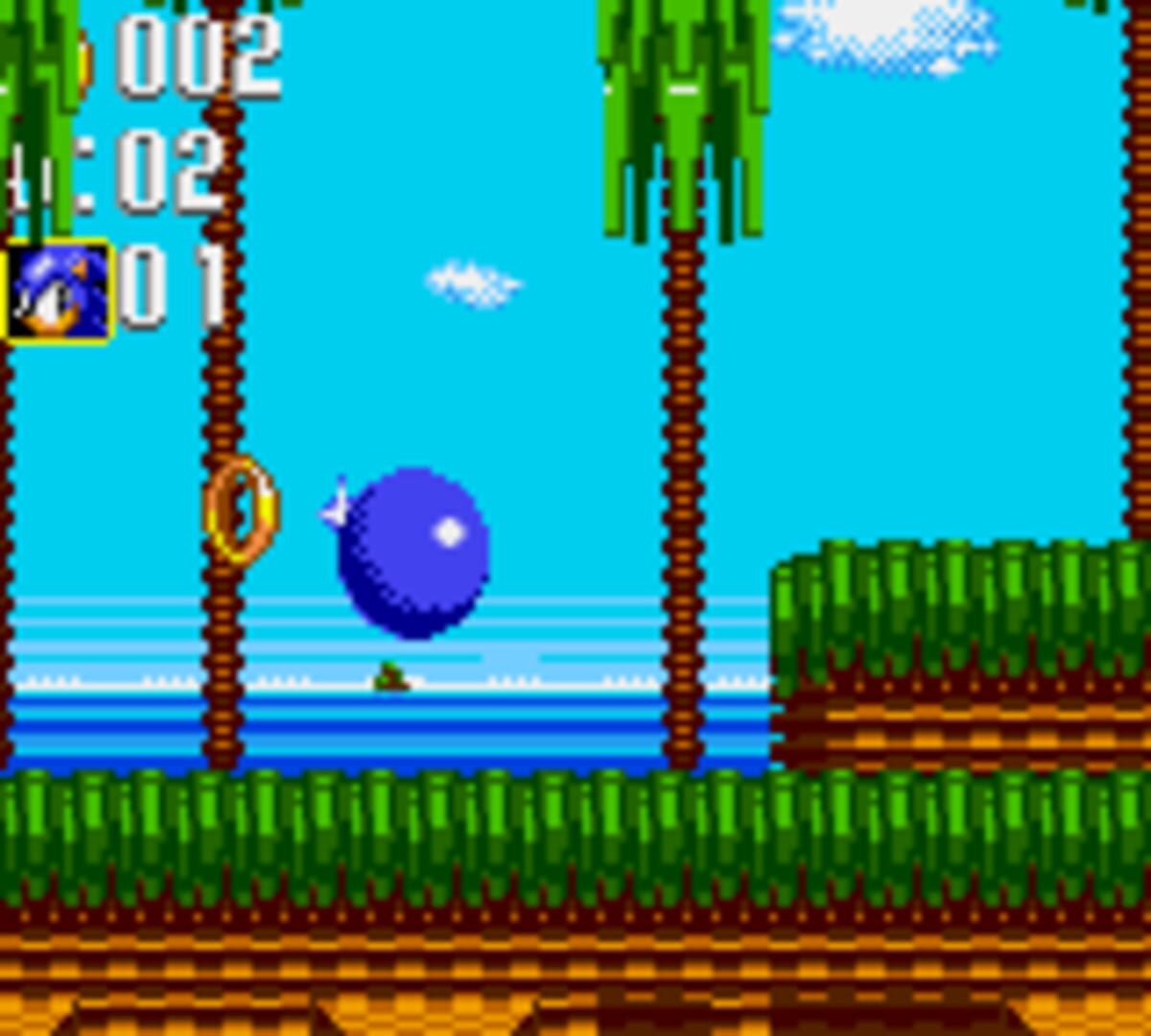 Captura de pantalla - Sonic the Hedgehog: Triple Trouble