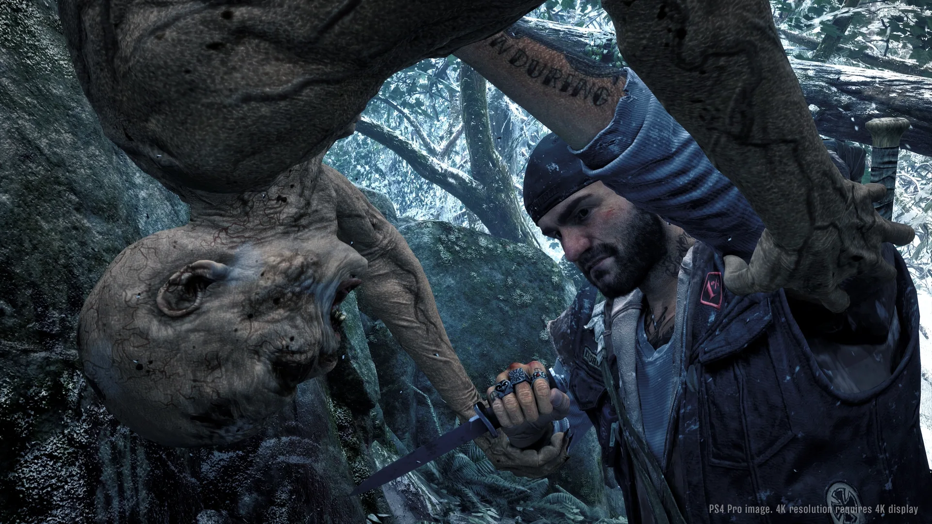 Captura de pantalla - Days Gone
