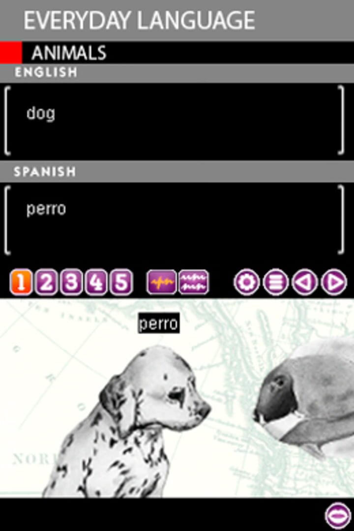 Captura de pantalla - Play & Learn Spanish