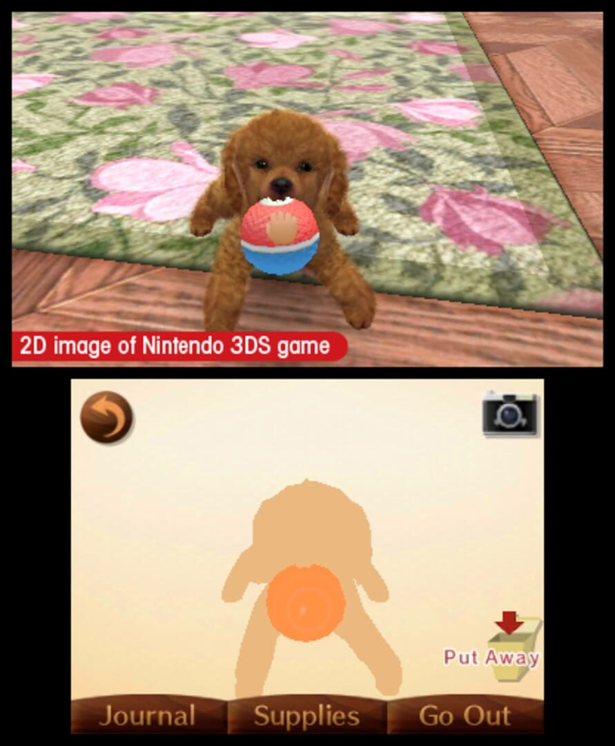 Captura de pantalla - Nintendogs + Cats: French Bulldog & New Friends