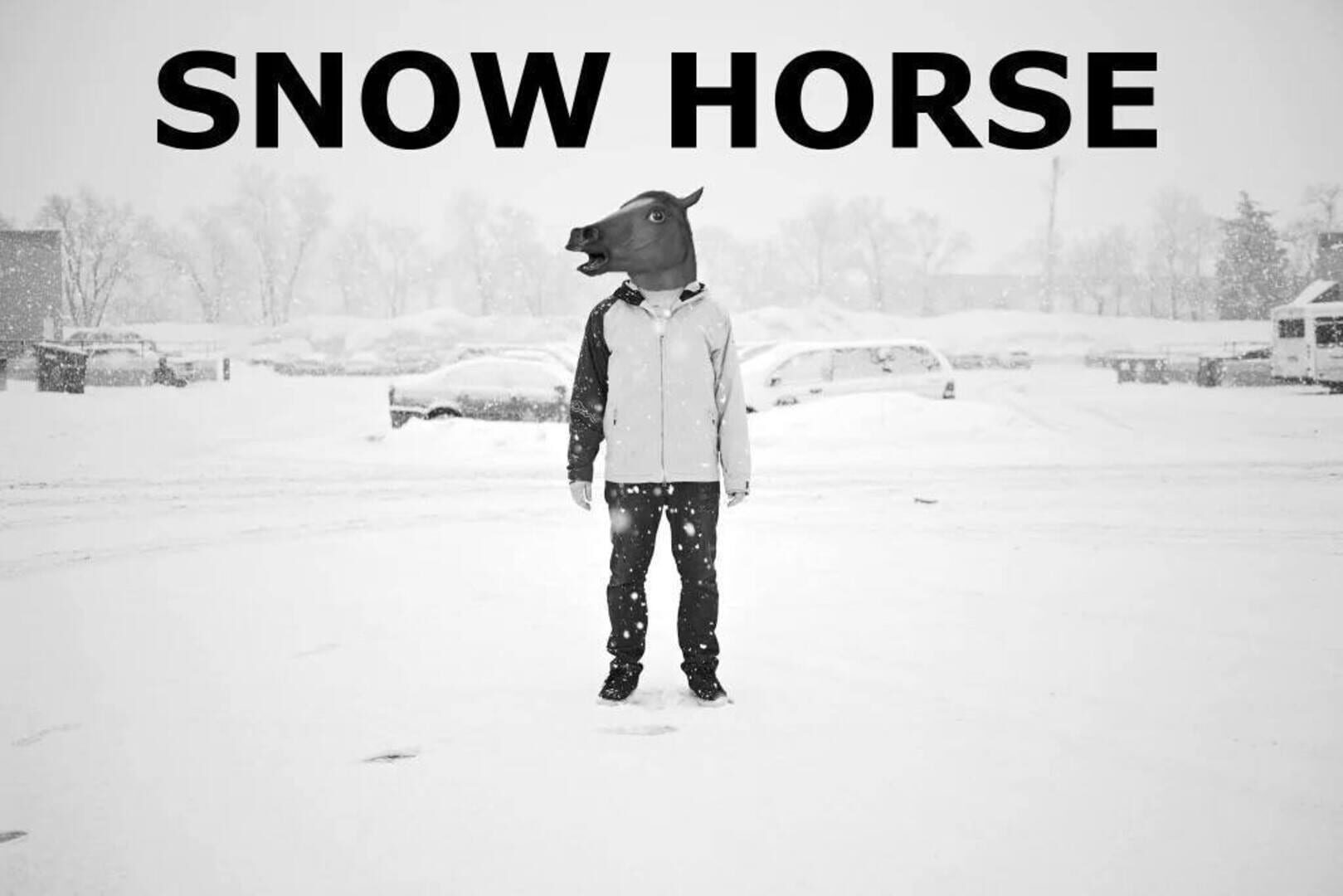 Snow Horse (2016)