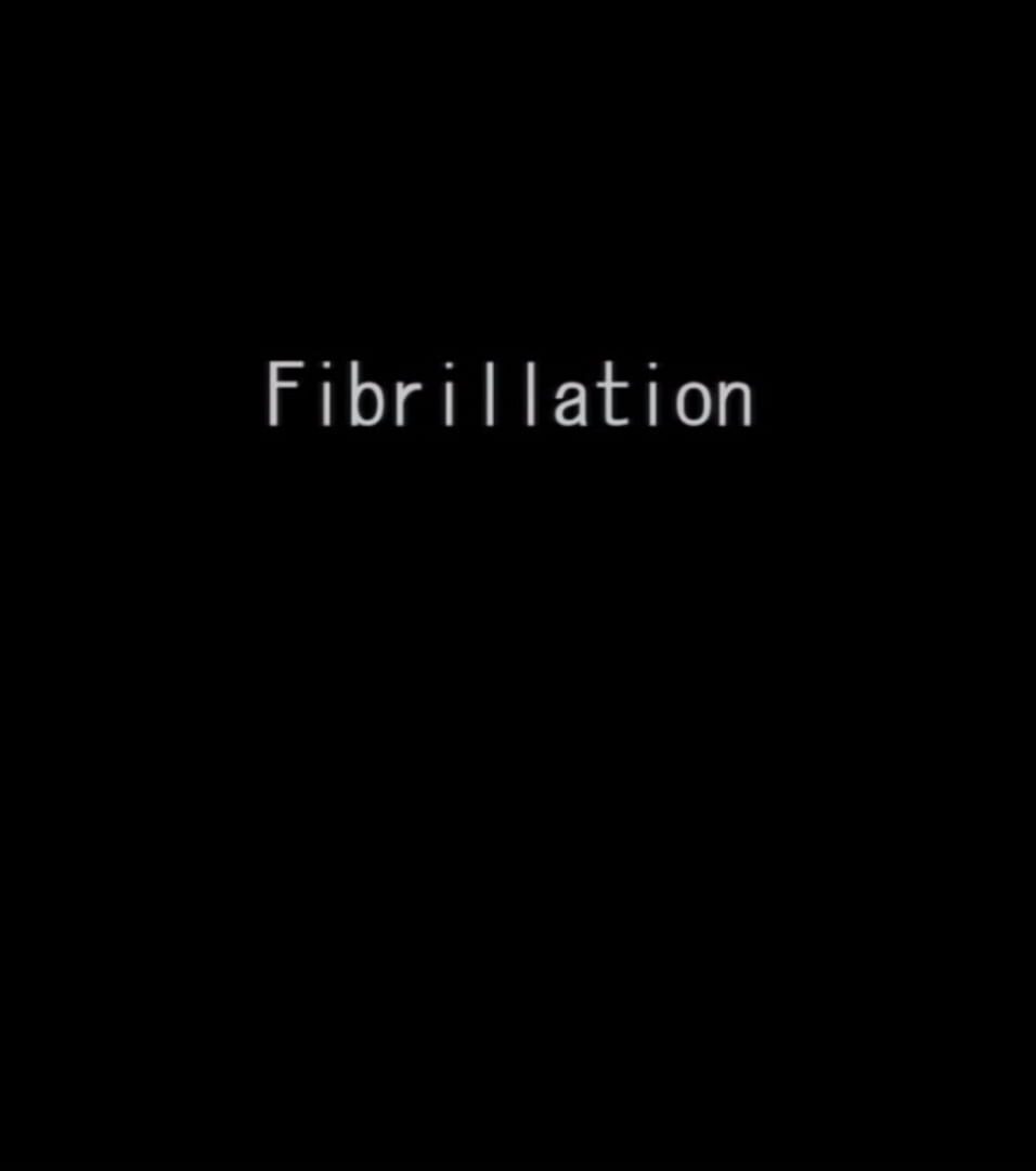 Fibrillation (2012)