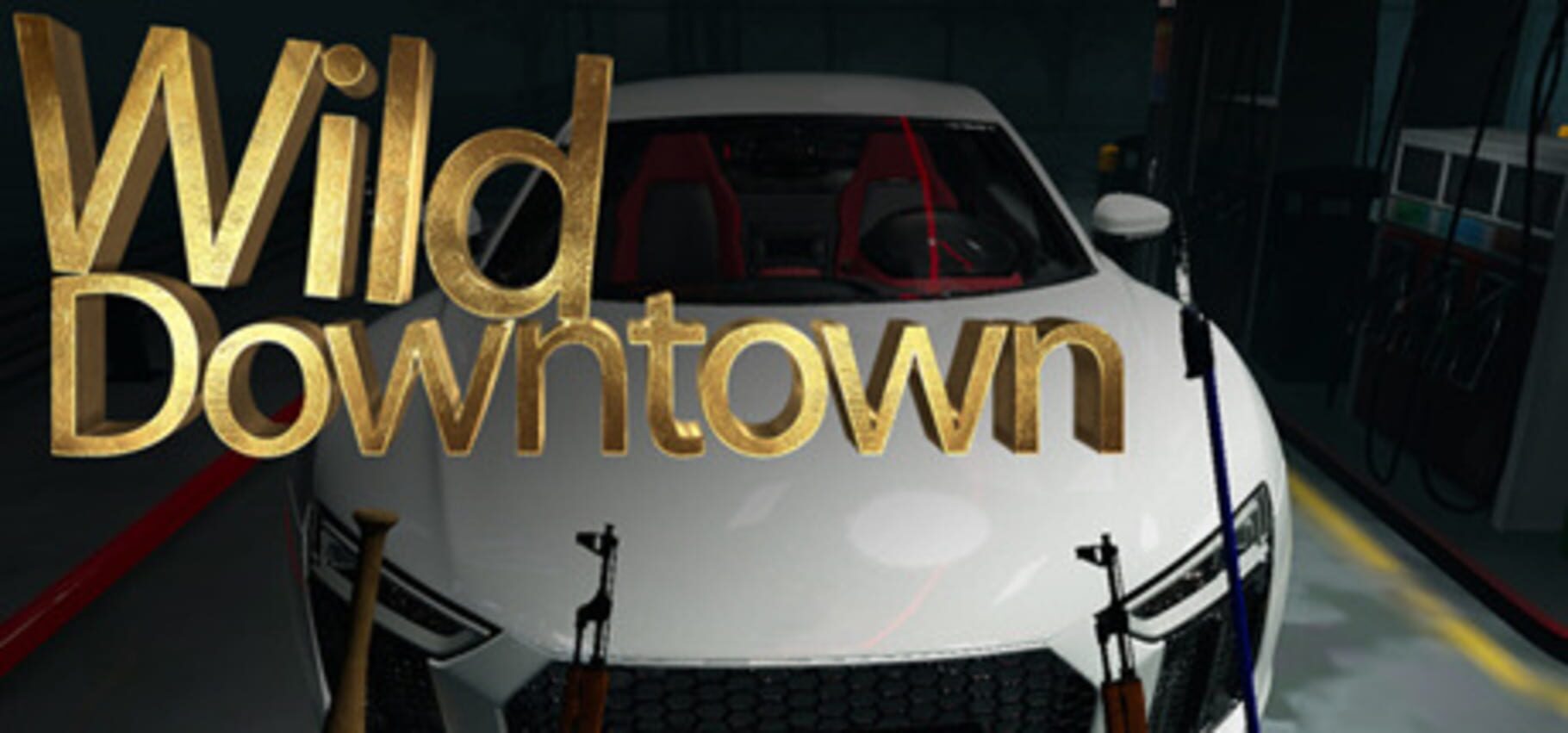 Wild Downtown (2017)