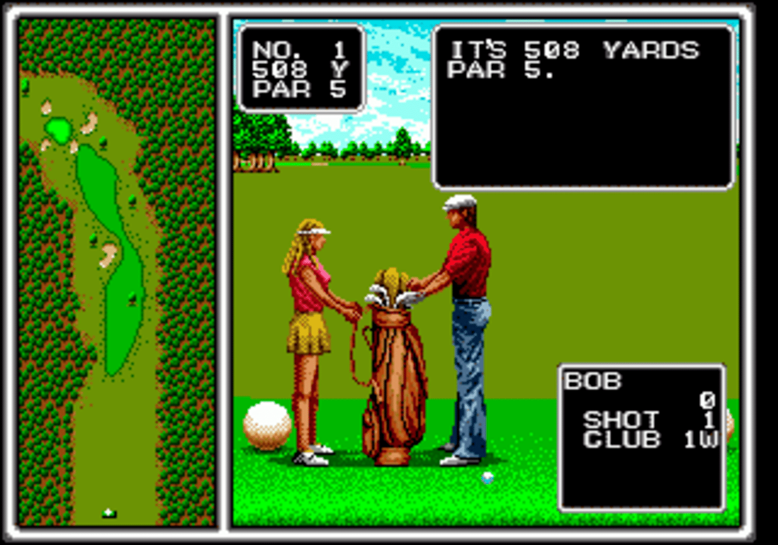 Arnold Palmer Tournament Golf screenshot