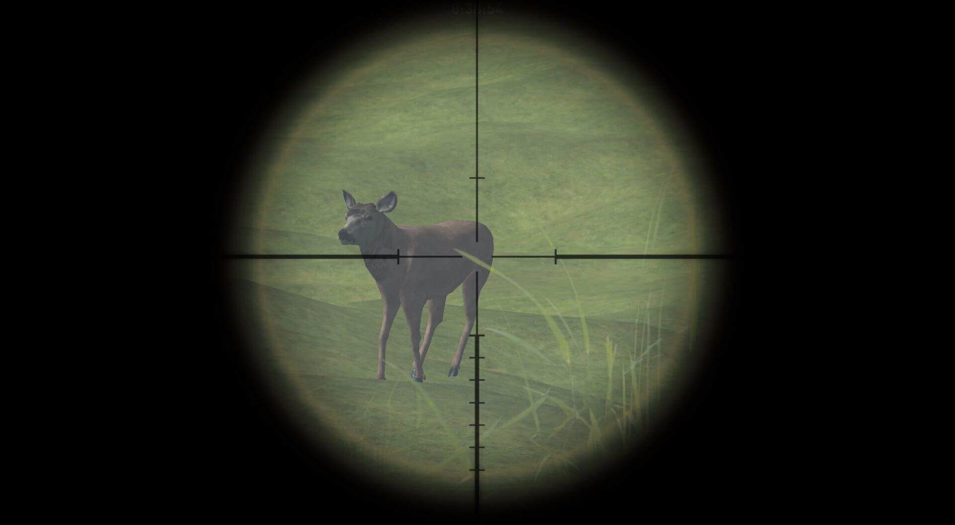 DeerHunterX