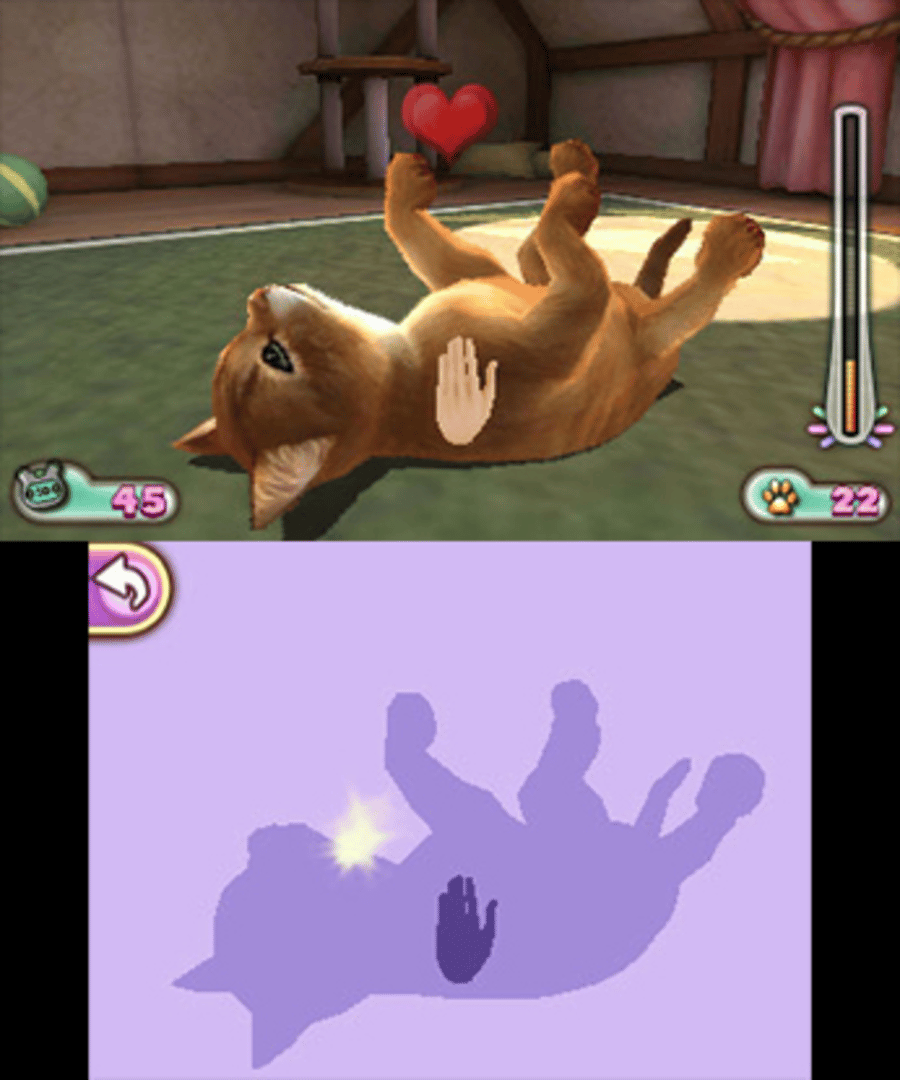 Pet Inn 3D screenshot