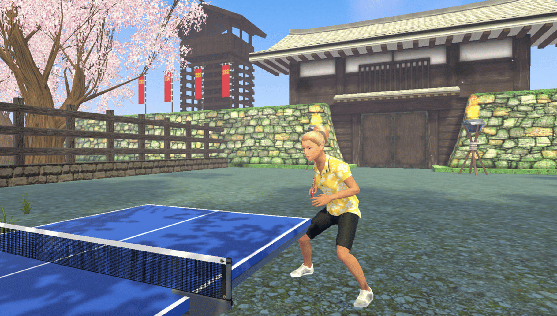 VR Ping Pong Paradise screenshot