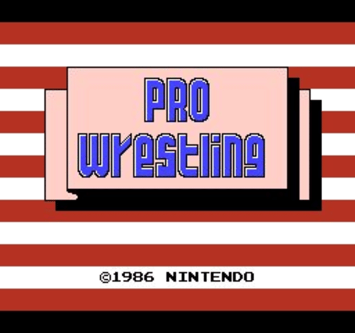 Pro Wrestling screenshot