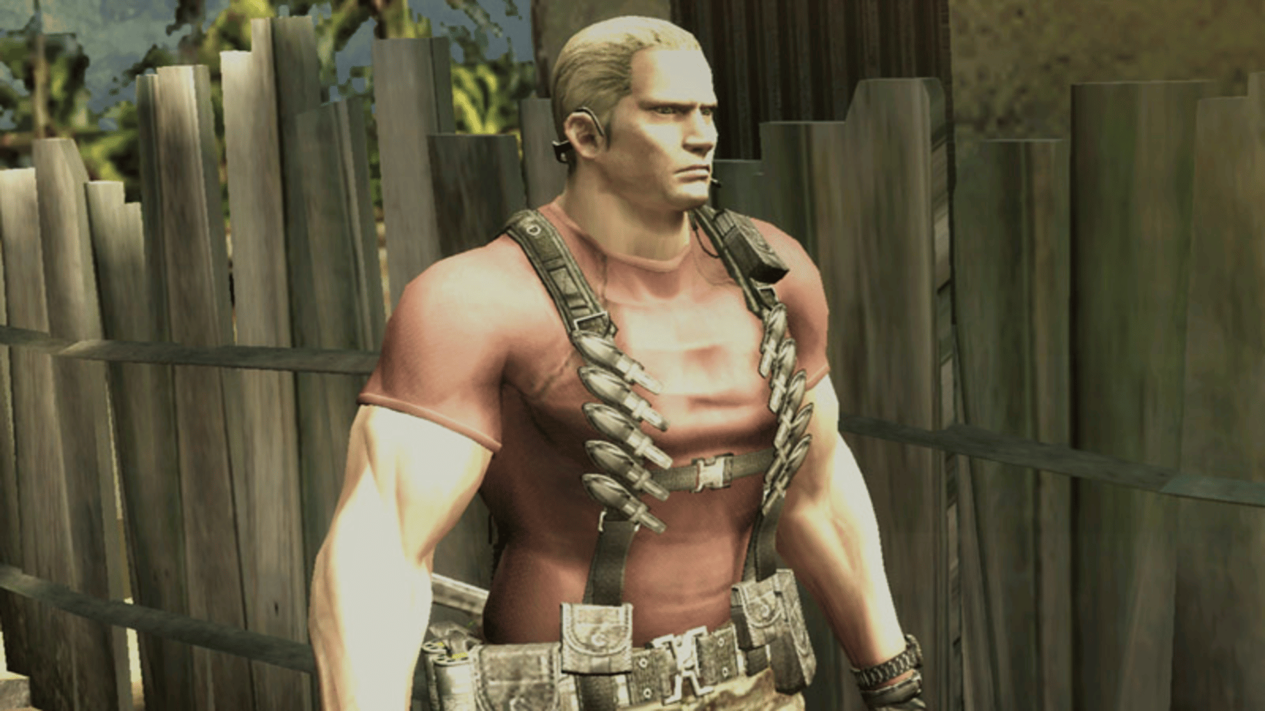 Resident Evil: The Darkside Chronicles screenshot