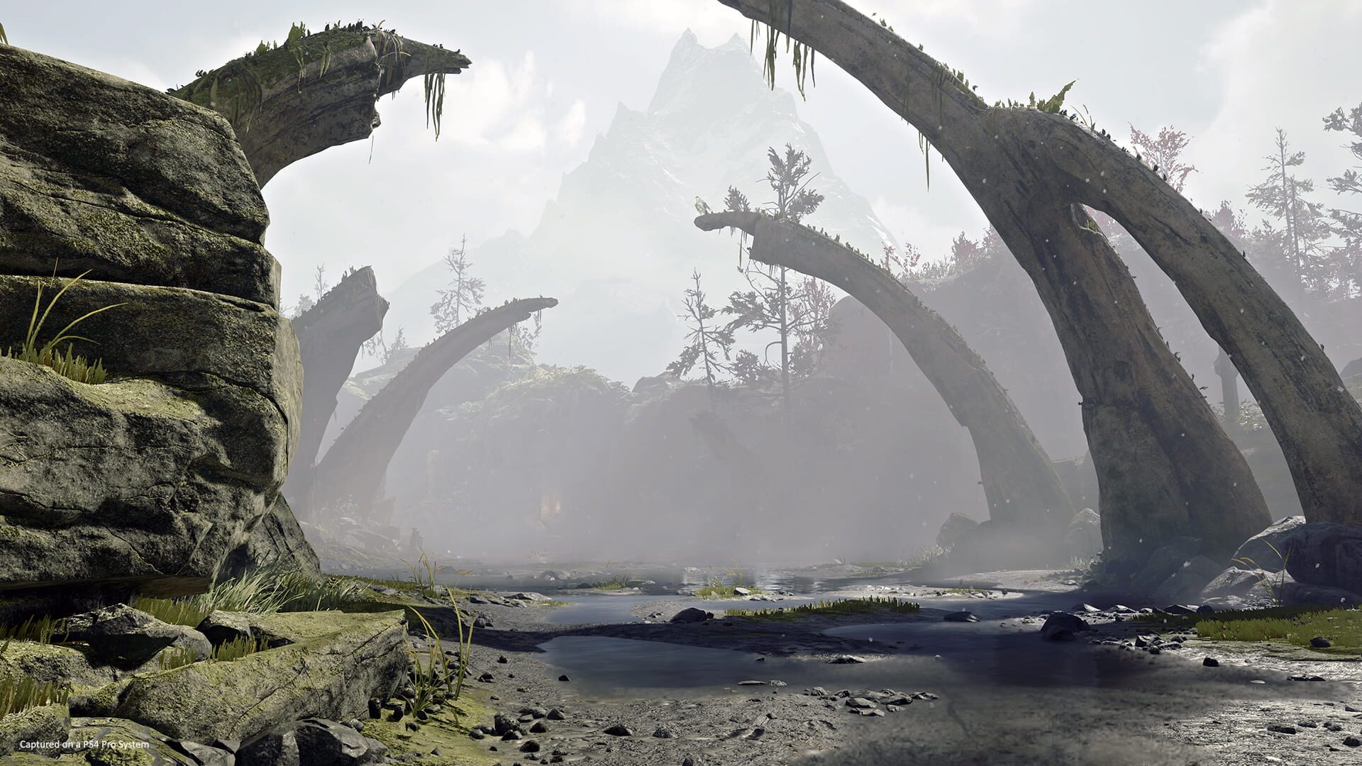 God of War screenshot