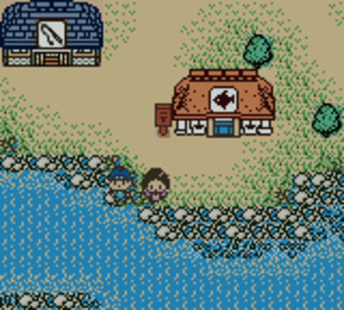 Legend of the River King GB screenshot