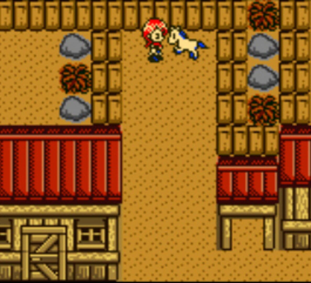 Captura de pantalla - Harvest Moon 2 GBC