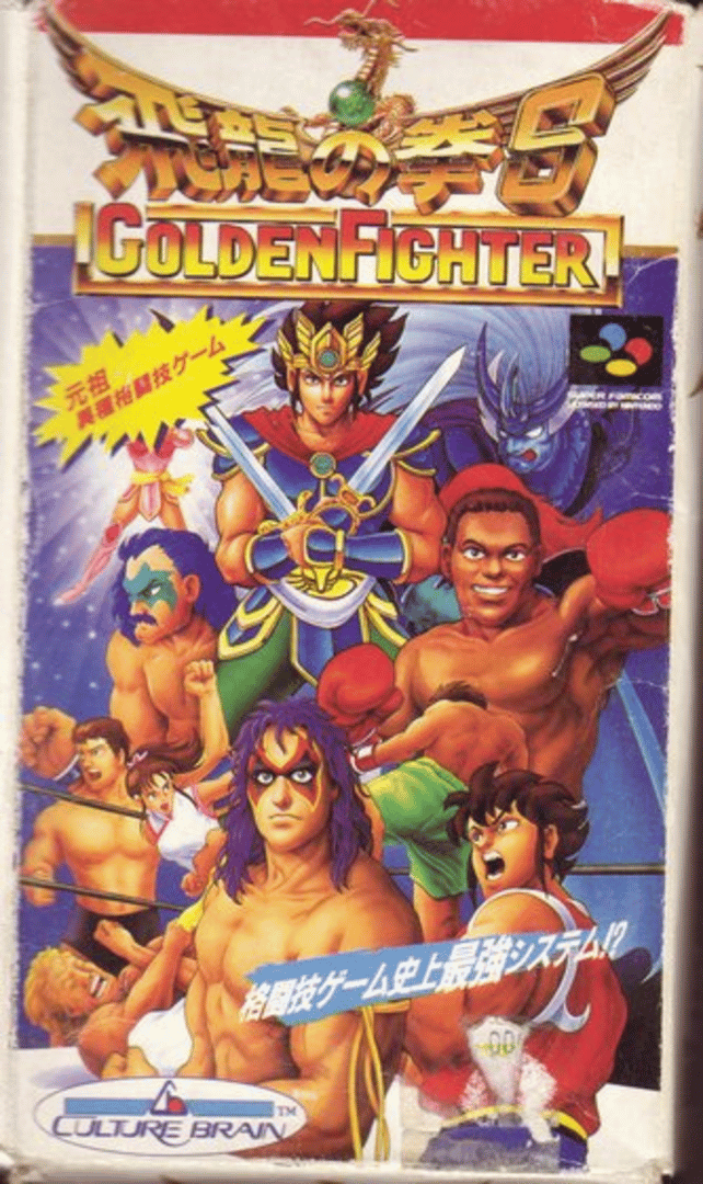 Hiryuu no Ken S: Golden Fighter Cover