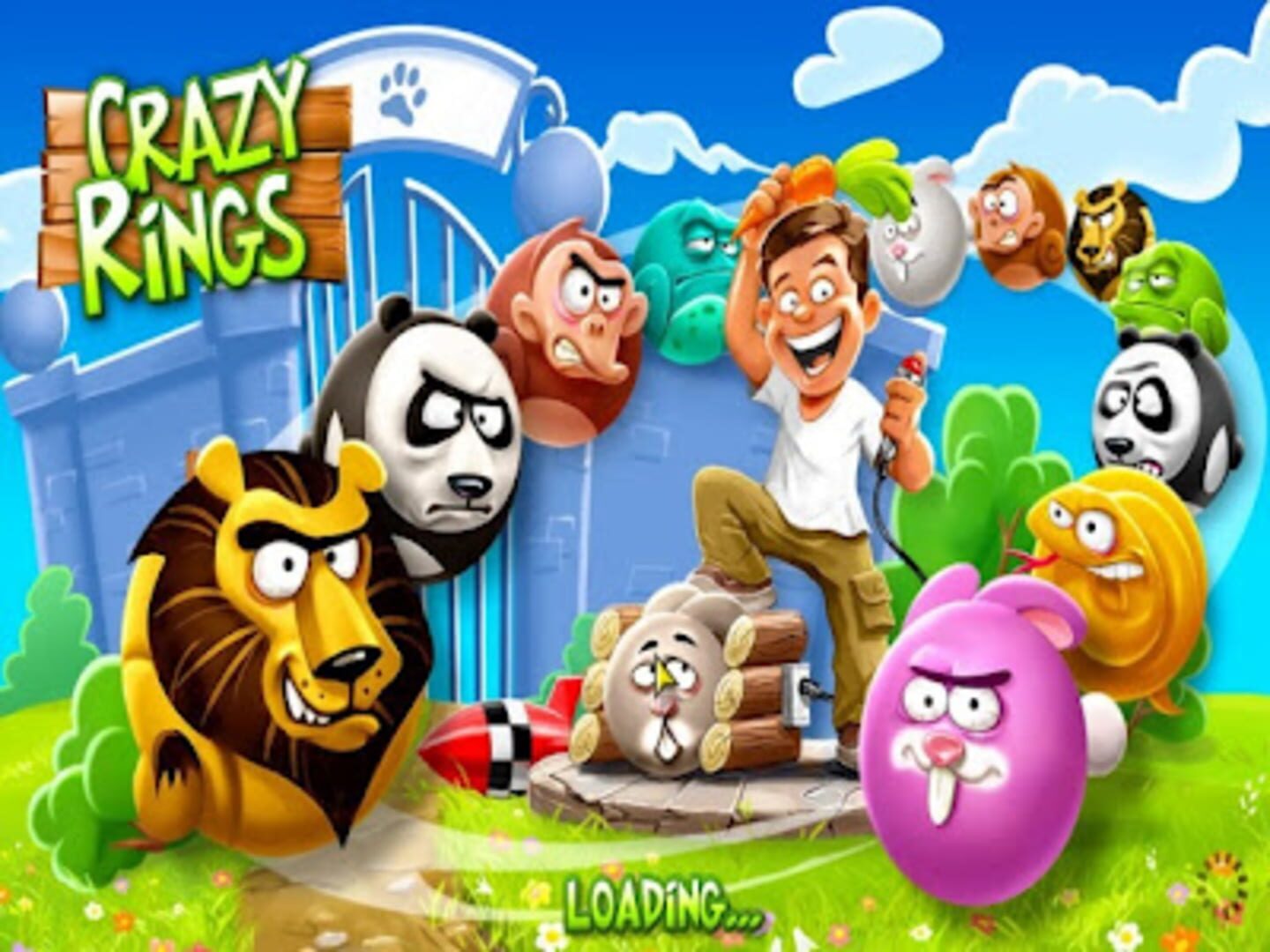 Crazy Rings cover art