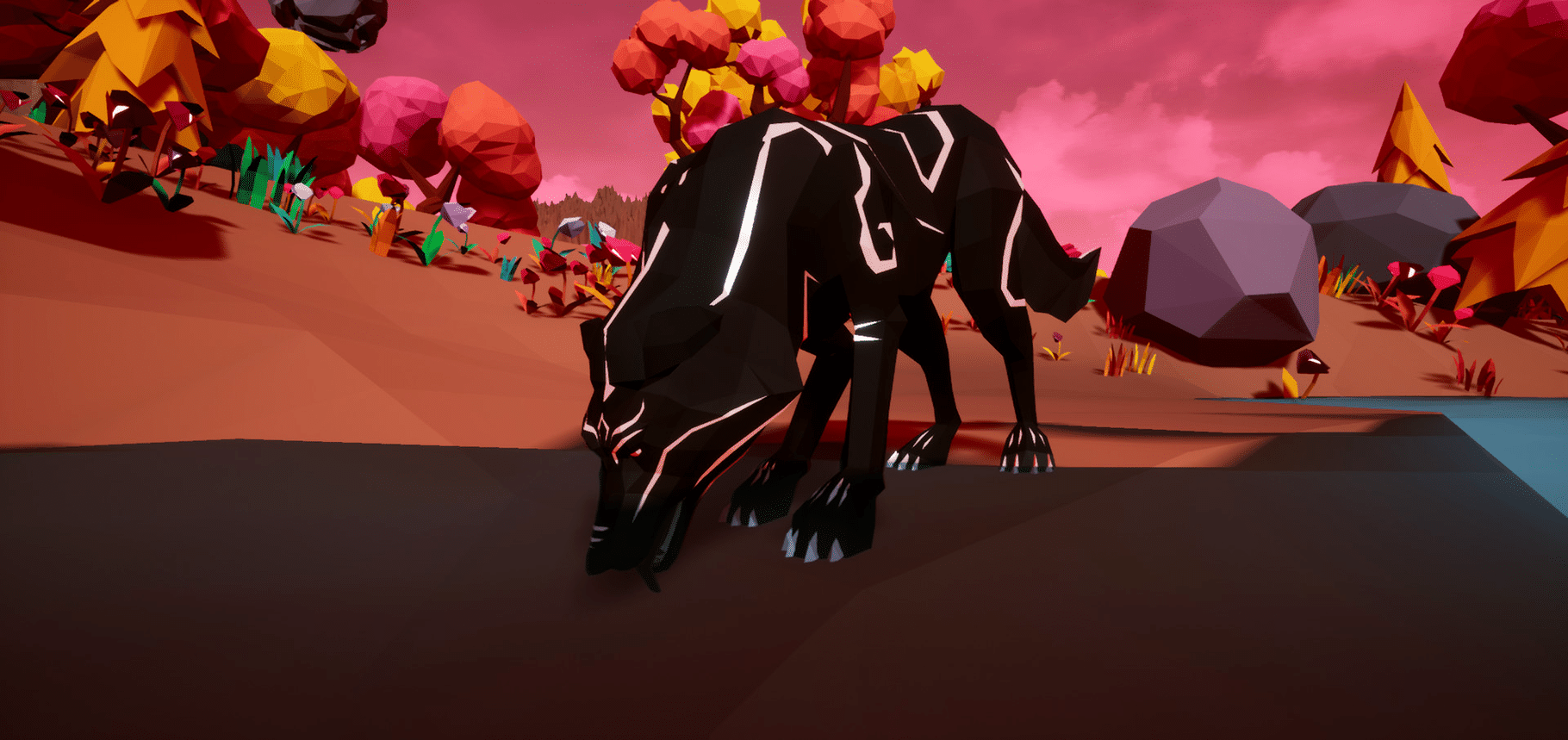 Paws and Soul screenshot