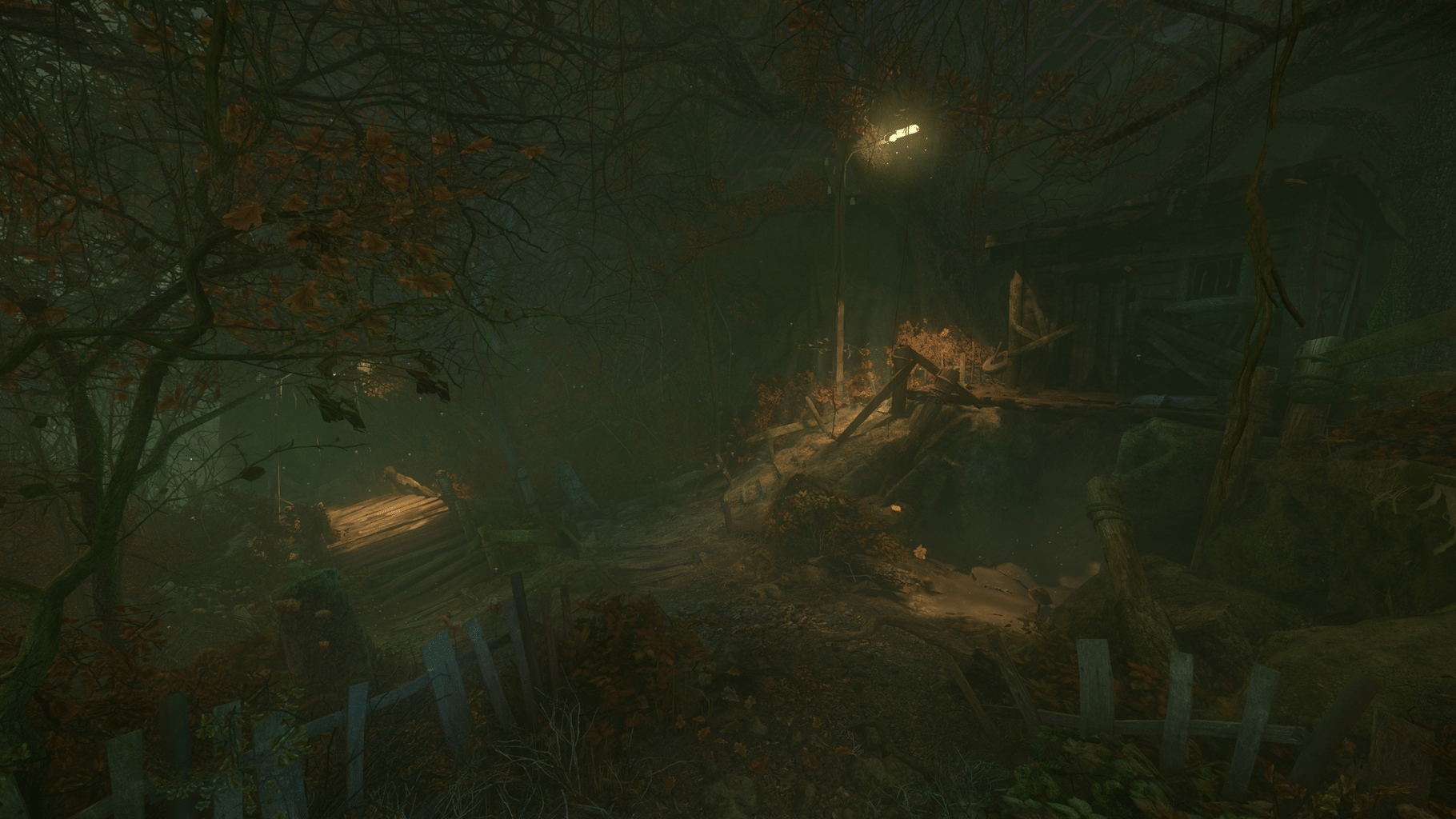 The Cursed Forest screenshot