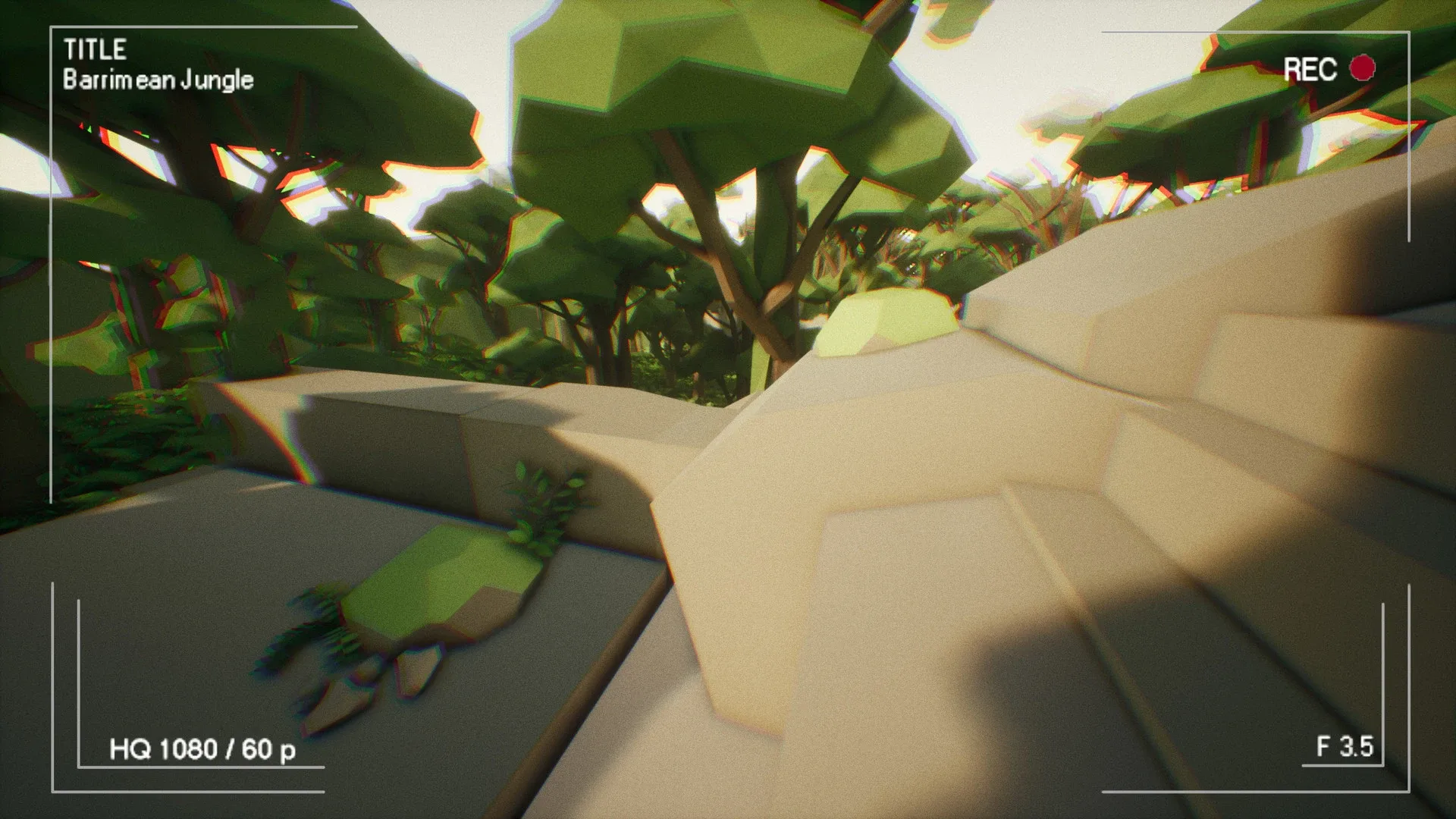 Barrimean Jungle