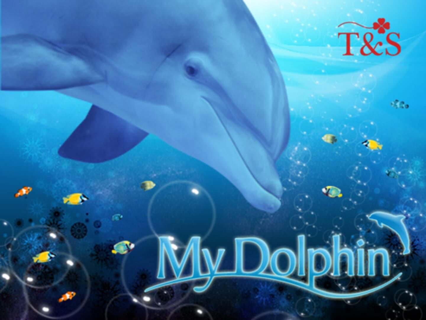 My Dolphin (2009)