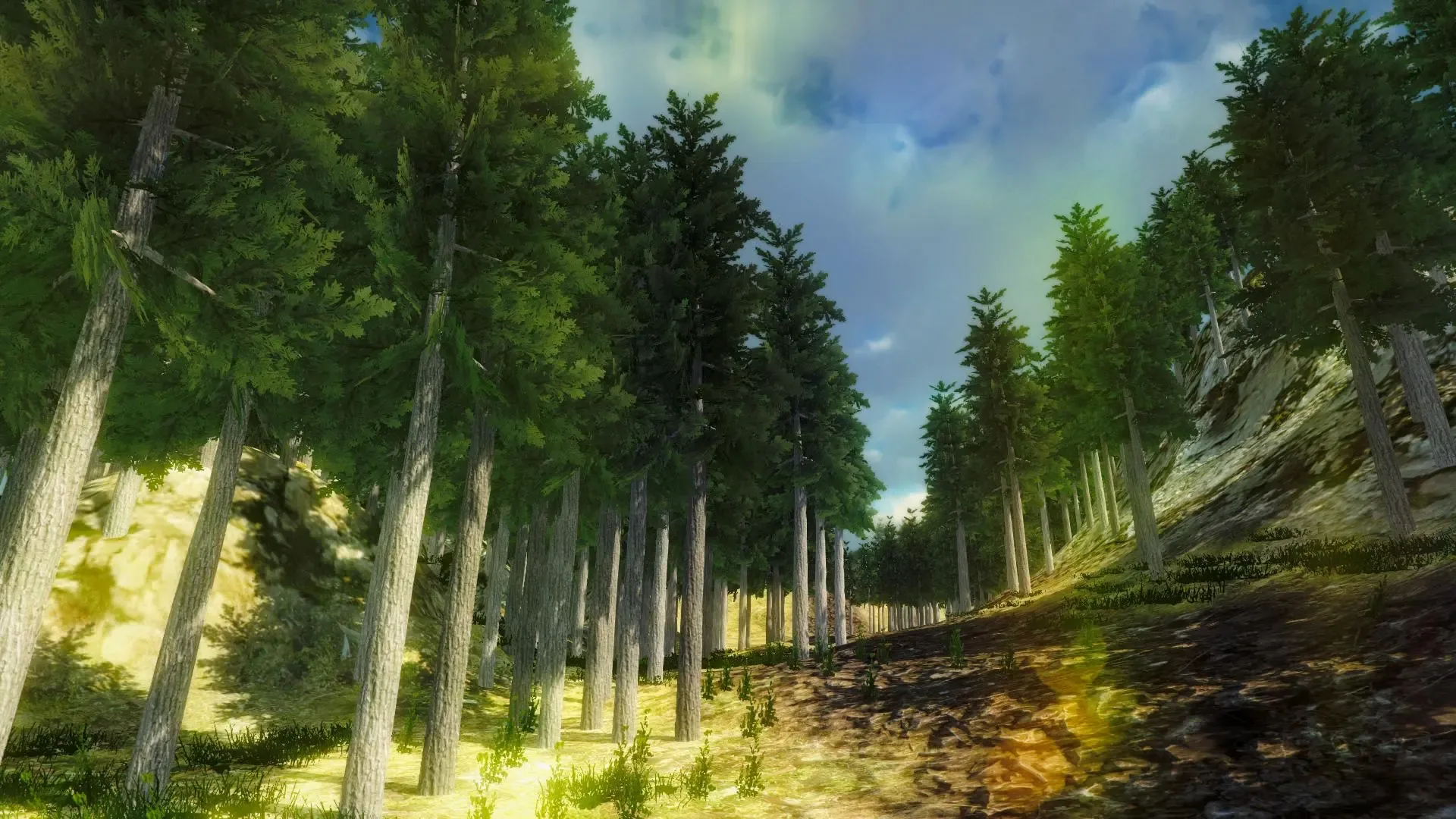 Nature Walk Simulator