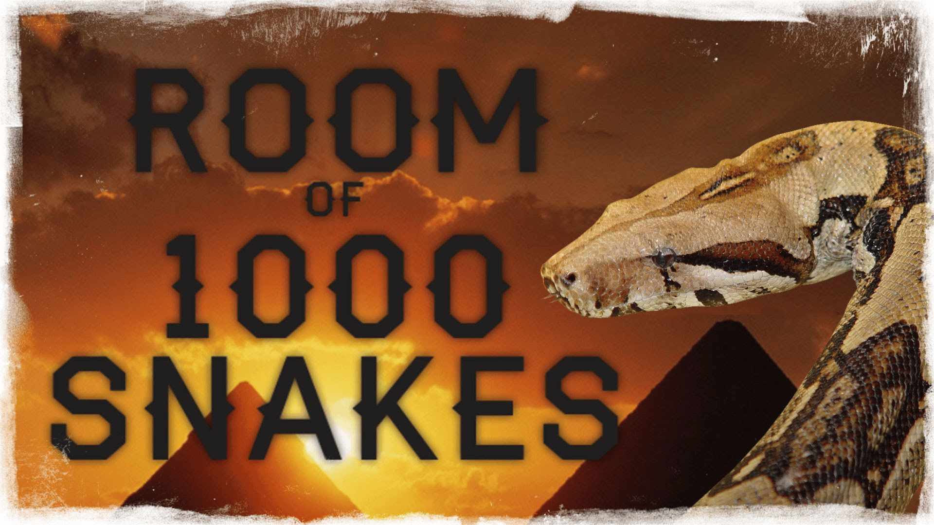 Room of 1000 Snakes Cover