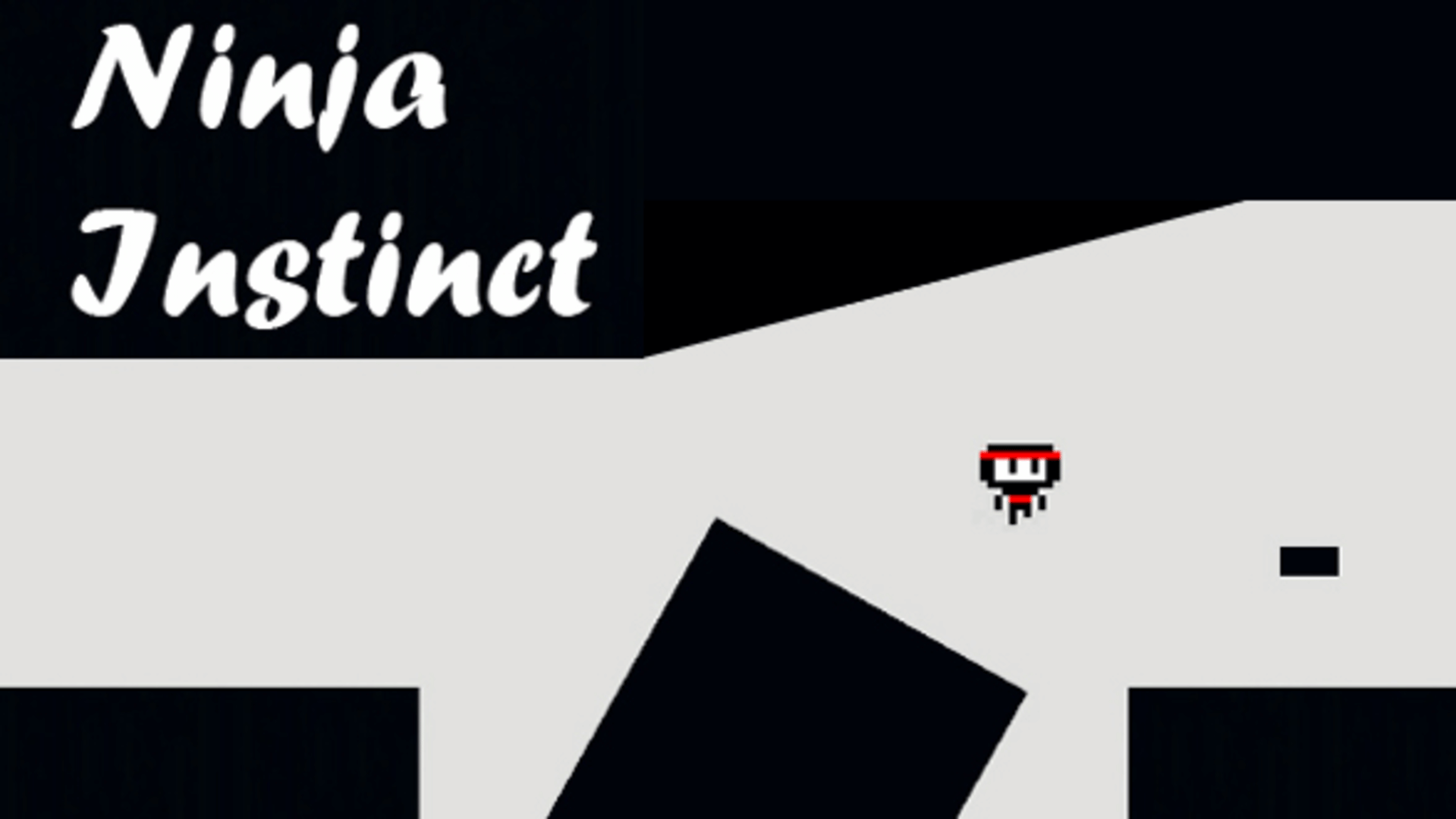 Ninja Instinct Cover