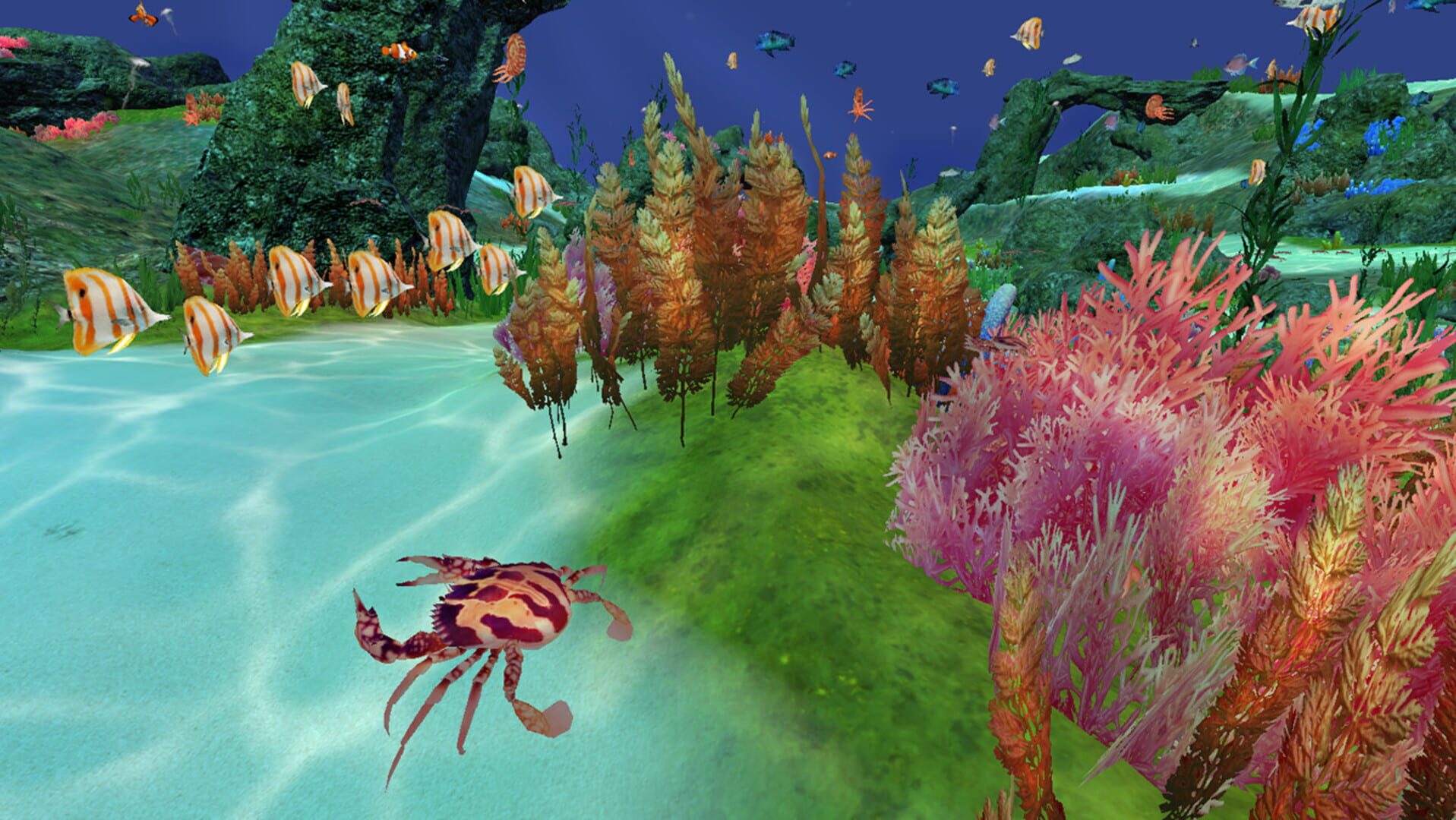 Fancy Fishing VR - Screenshot