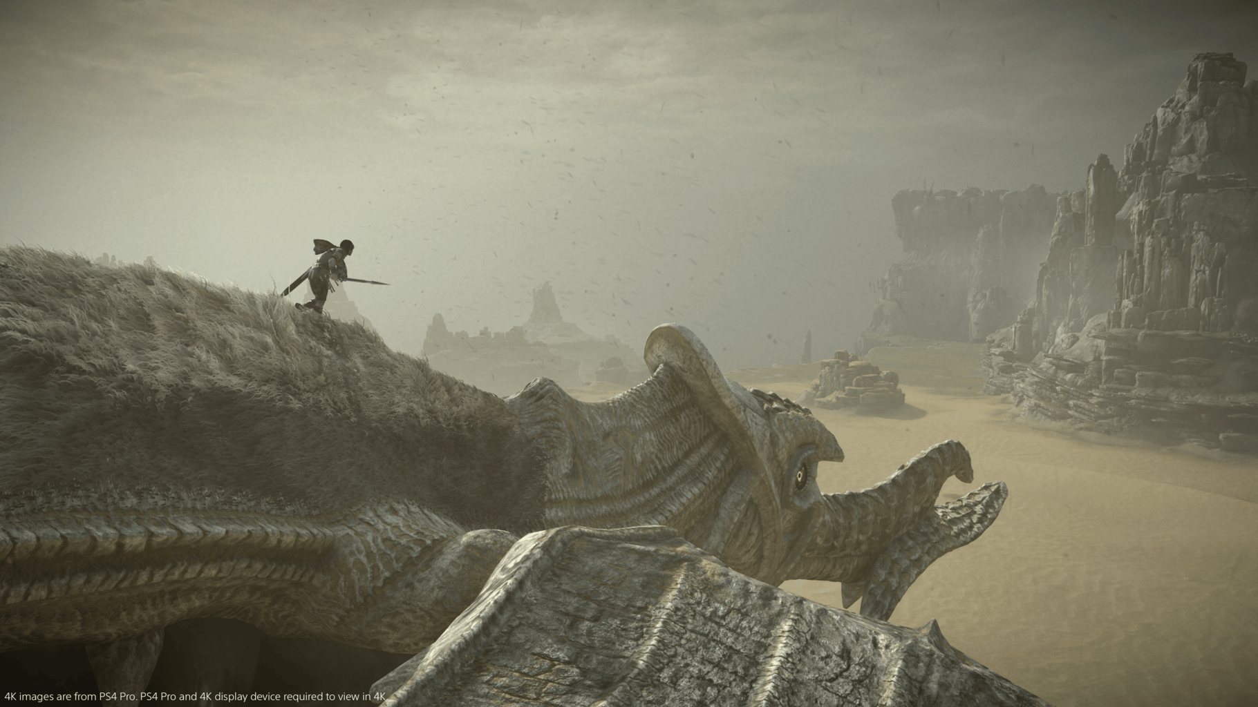 Shadow of the Colossus screenshot