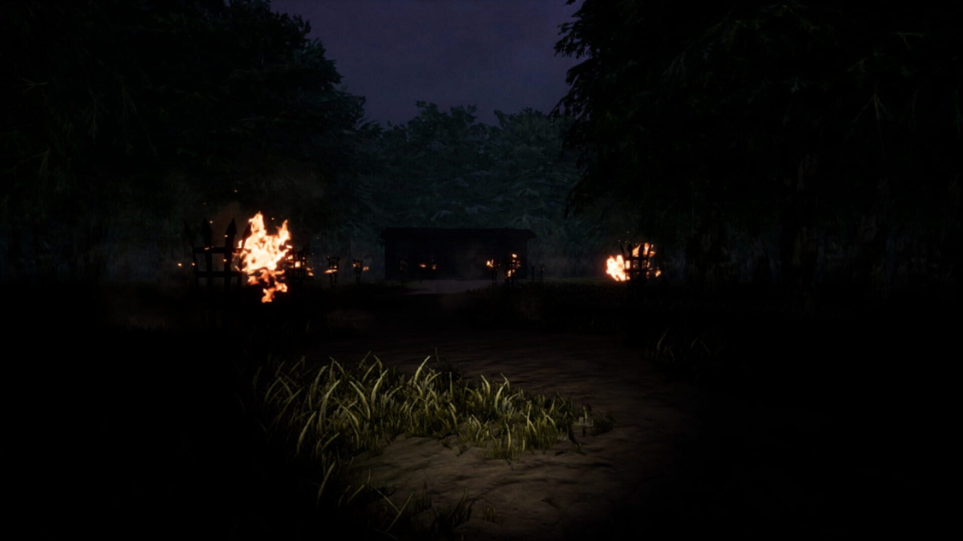 Aiden - Screenshot