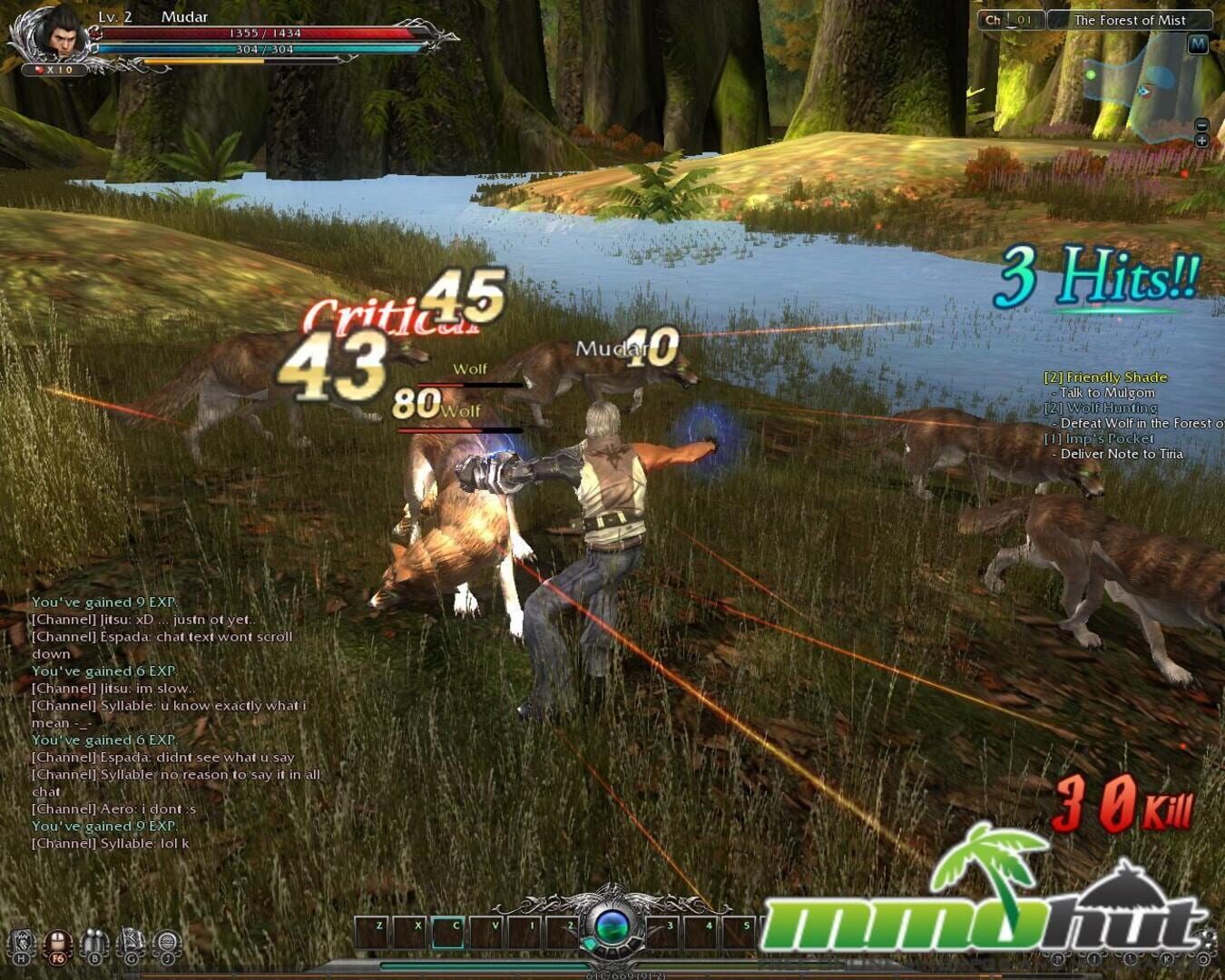 Divine Souls Online - Screenshot