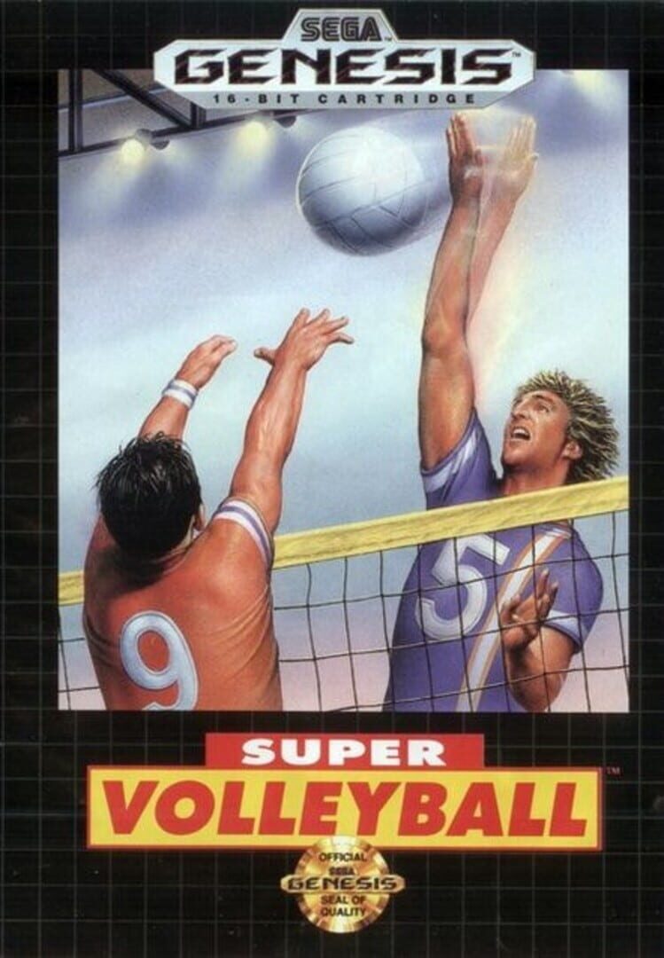 Super Volley Ball (1989)