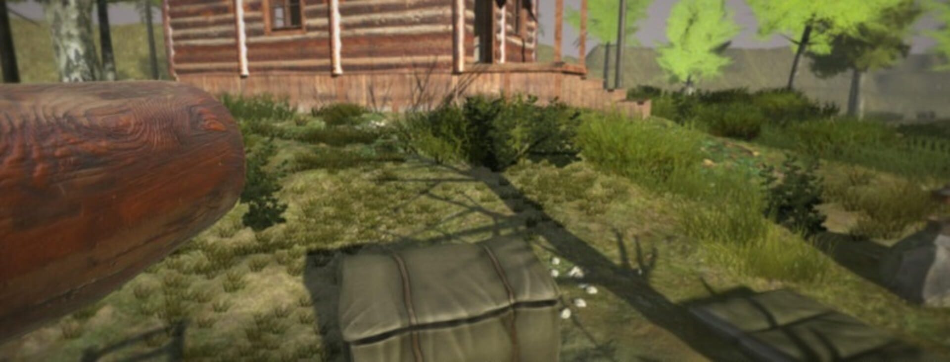 Surviving in the forest - Screenshot