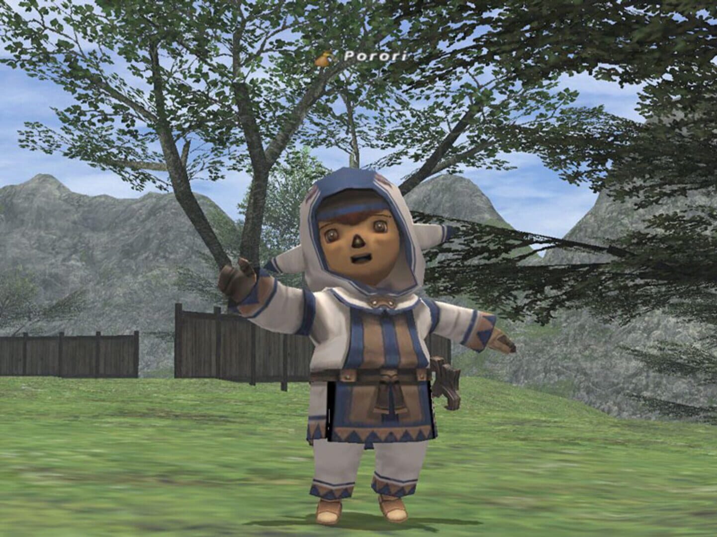 Captura de pantalla - Final Fantasy XI Online