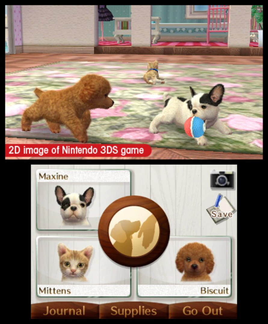 Captura de pantalla - Nintendogs + Cats: French Bulldog & New Friends