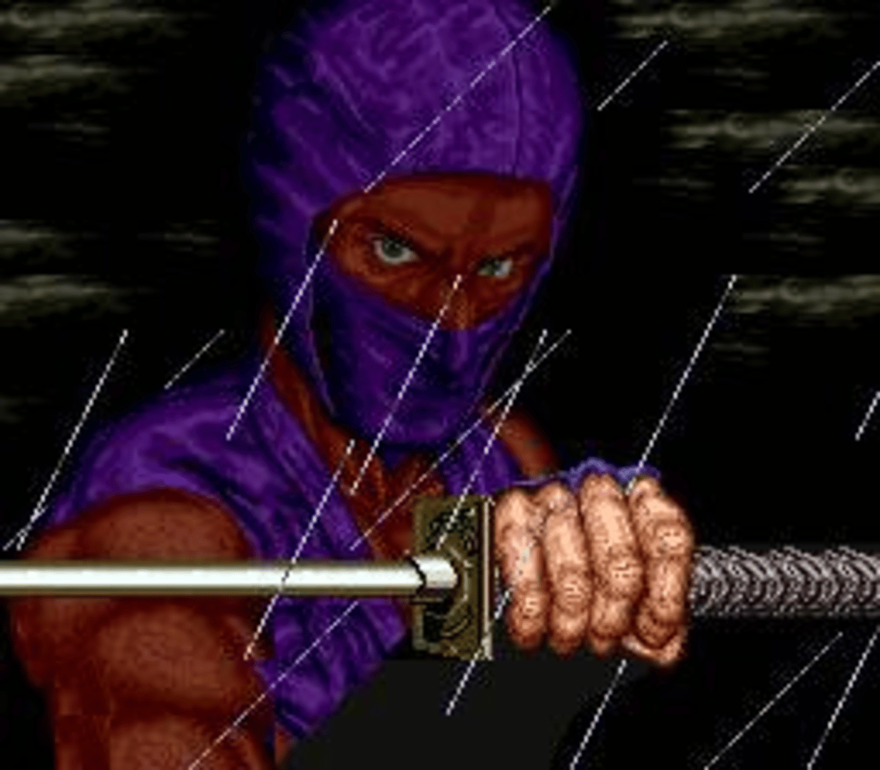Ninja Gaiden screenshot