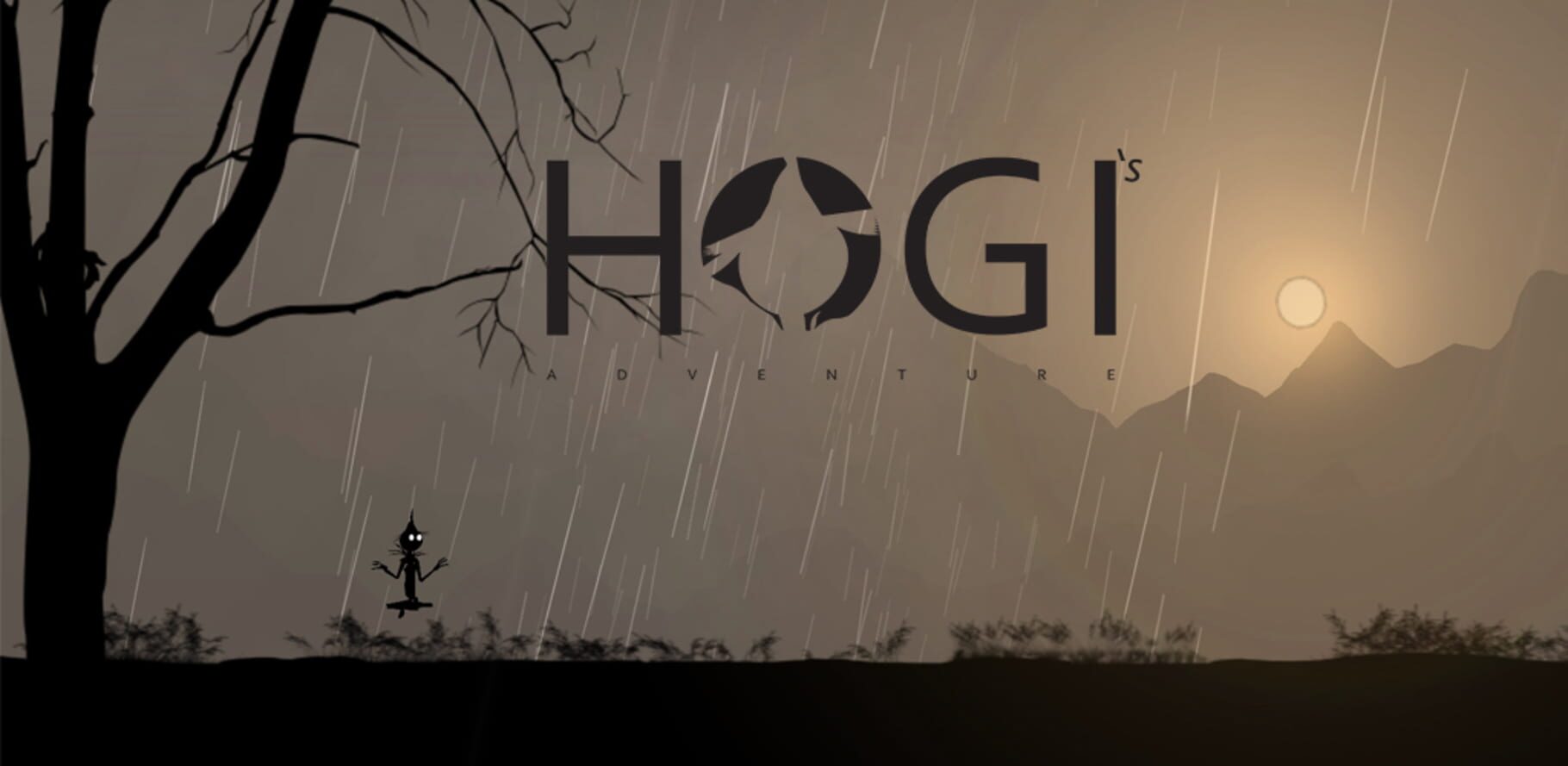 Hogi's Adventure Run (2017)