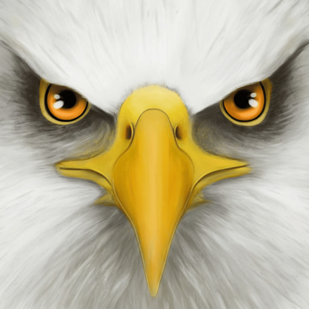 Ultimate Bird Simulator Cover