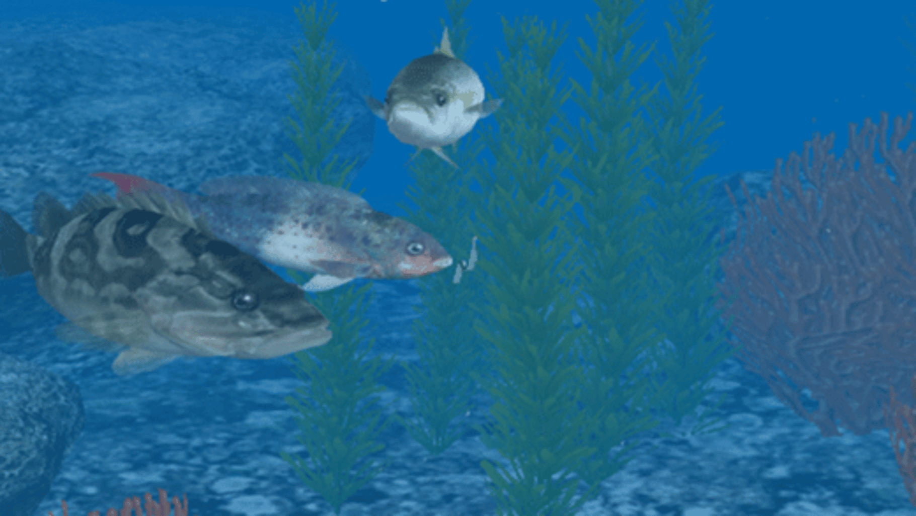 Reel Fishing: Ocean Challenge screenshot