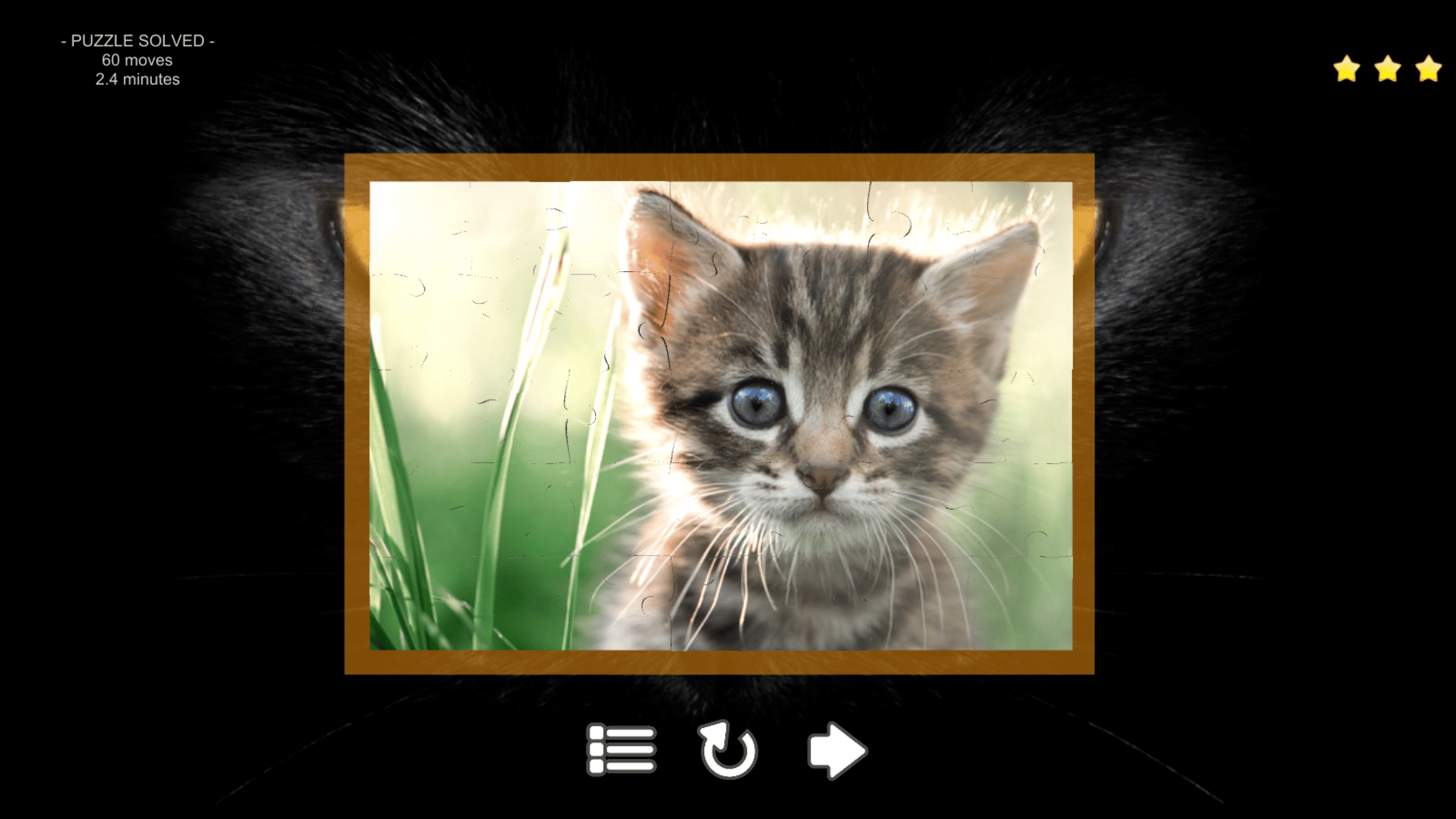 Kitty Cat: Jigsaw Puzzles screenshot