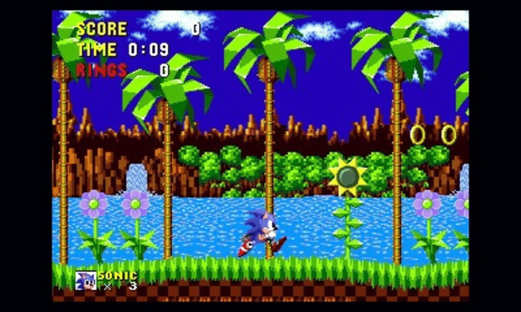 3D Sonic the Hedgehog screenshot