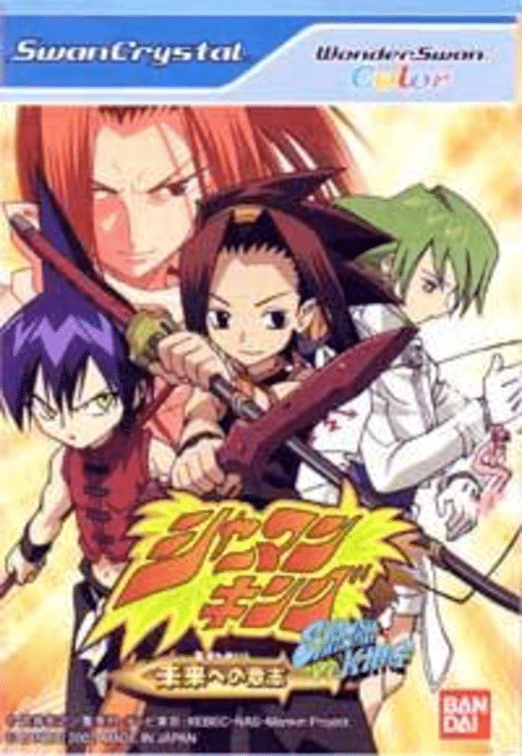 Shaman King: Mirai no Ishi Cover