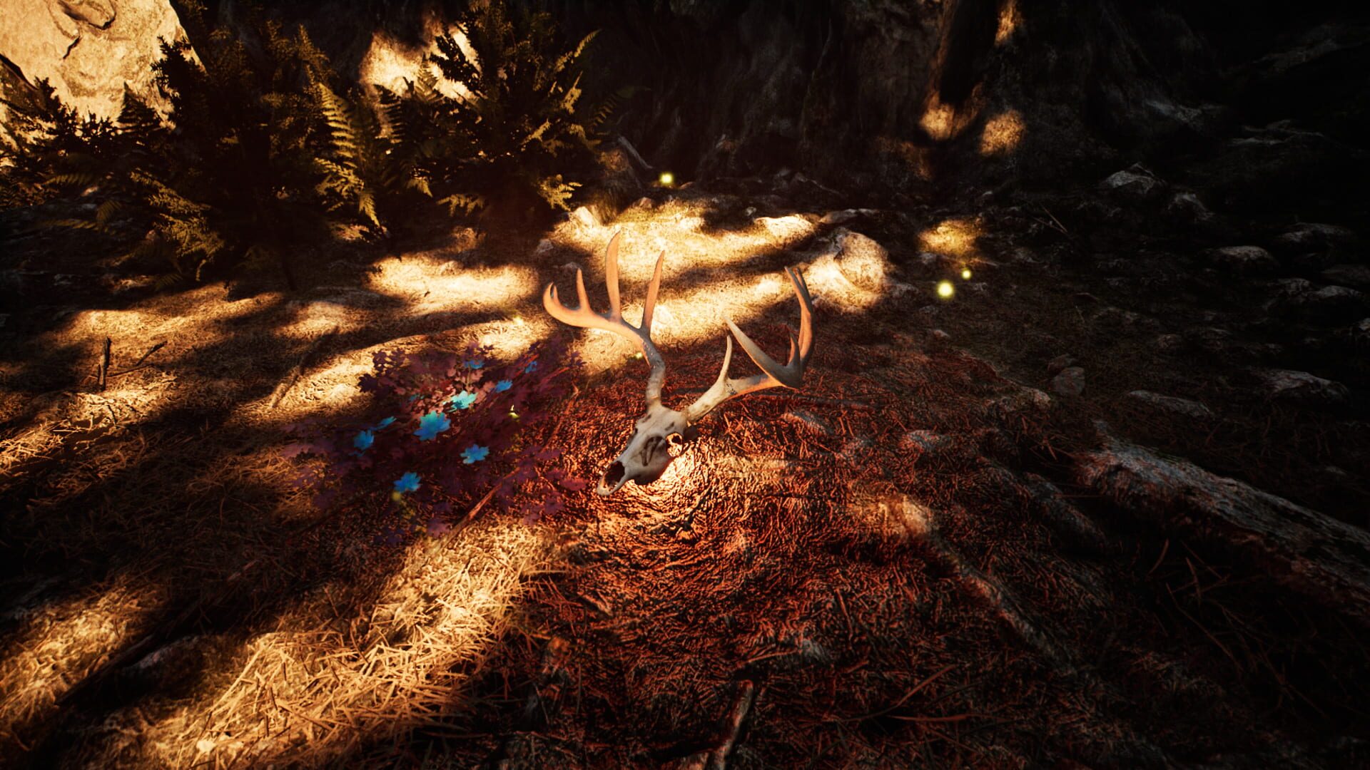 Nephise Begins - Screenshot