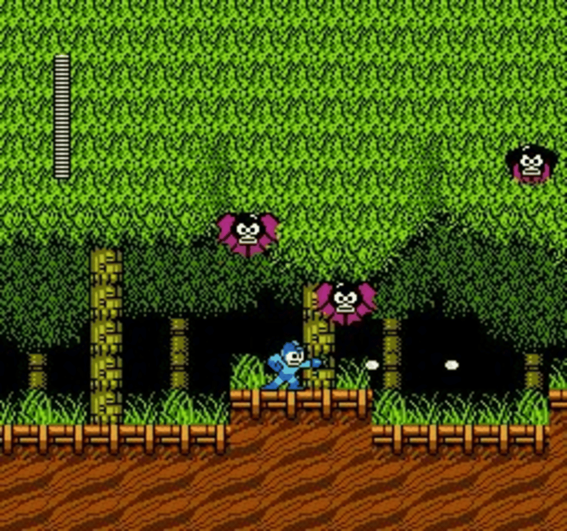 Mega Man 2 screenshot