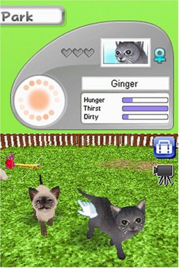 Captura de pantalla - Petz Catz Family