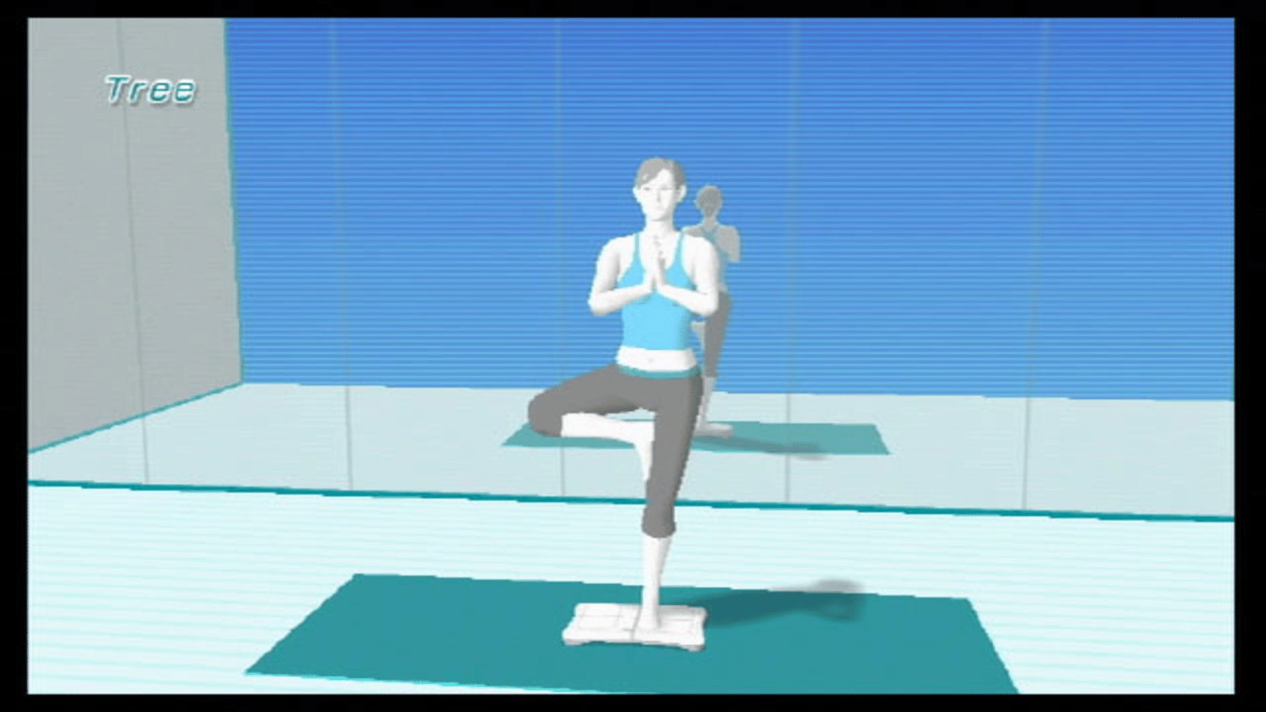 Wii Fit screenshot