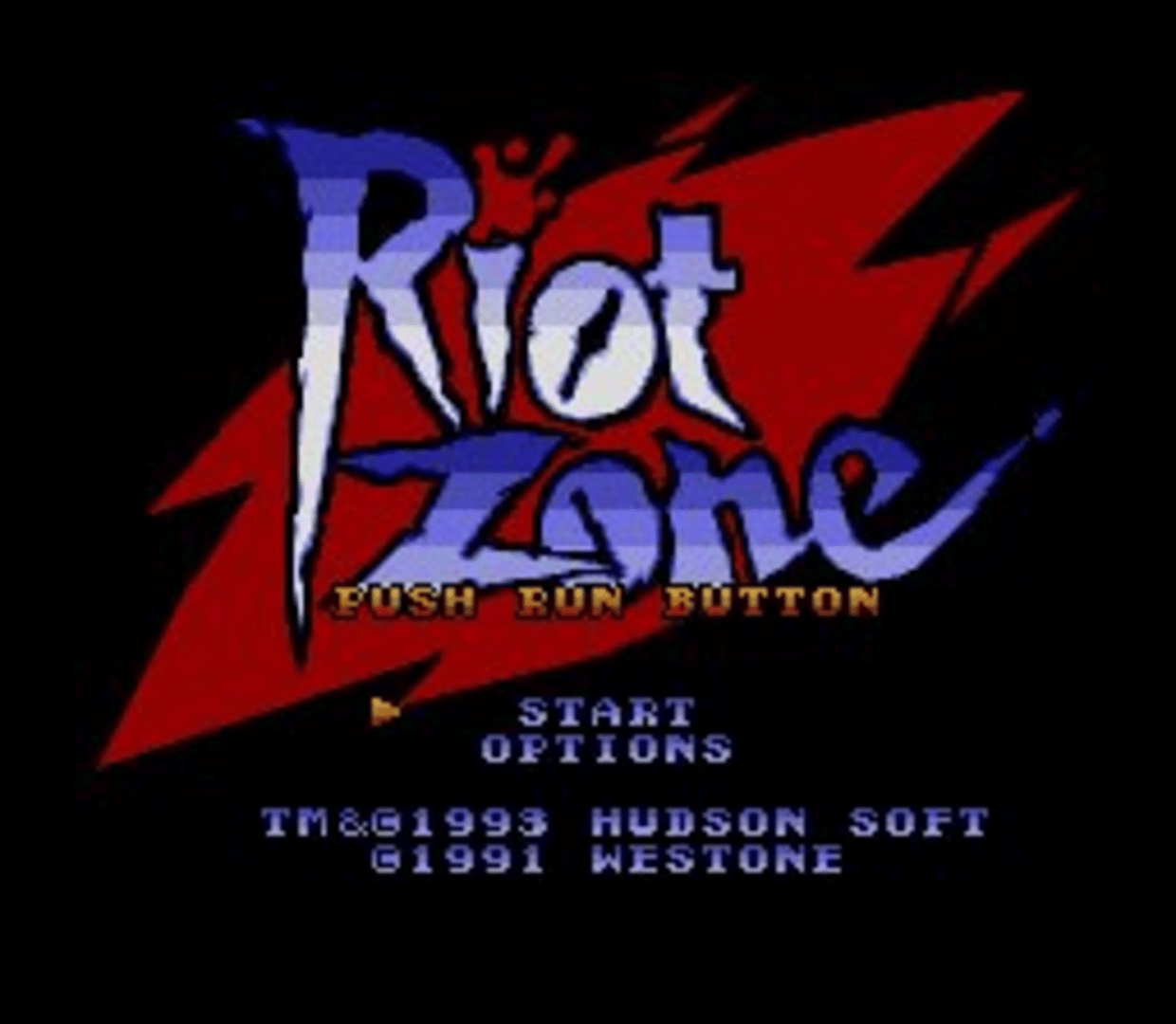 Riot Zone screenshot